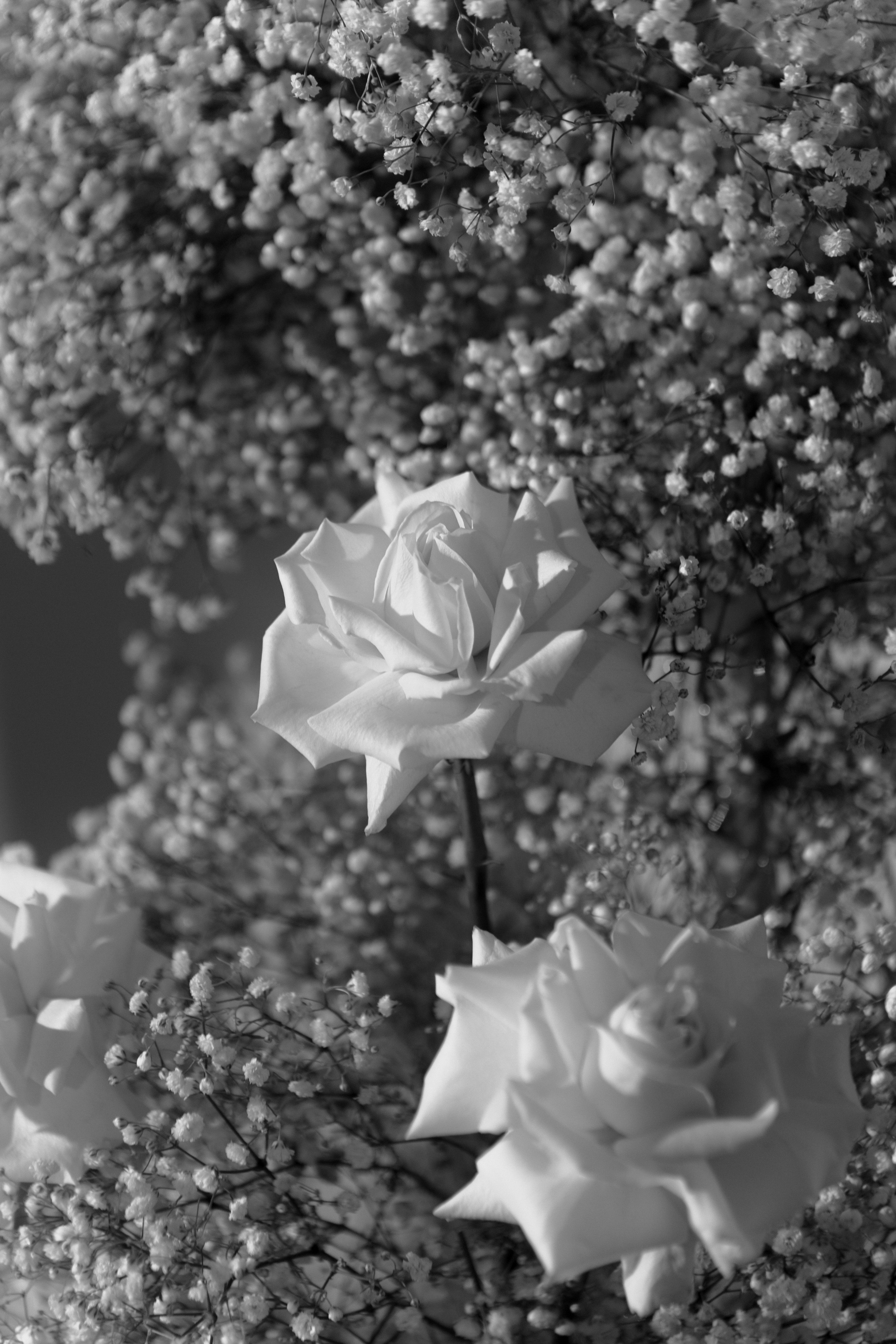 Свадьба Никиты и Полины. Фотограф Кольчугино/Владимир/Москва Елизавета Иода