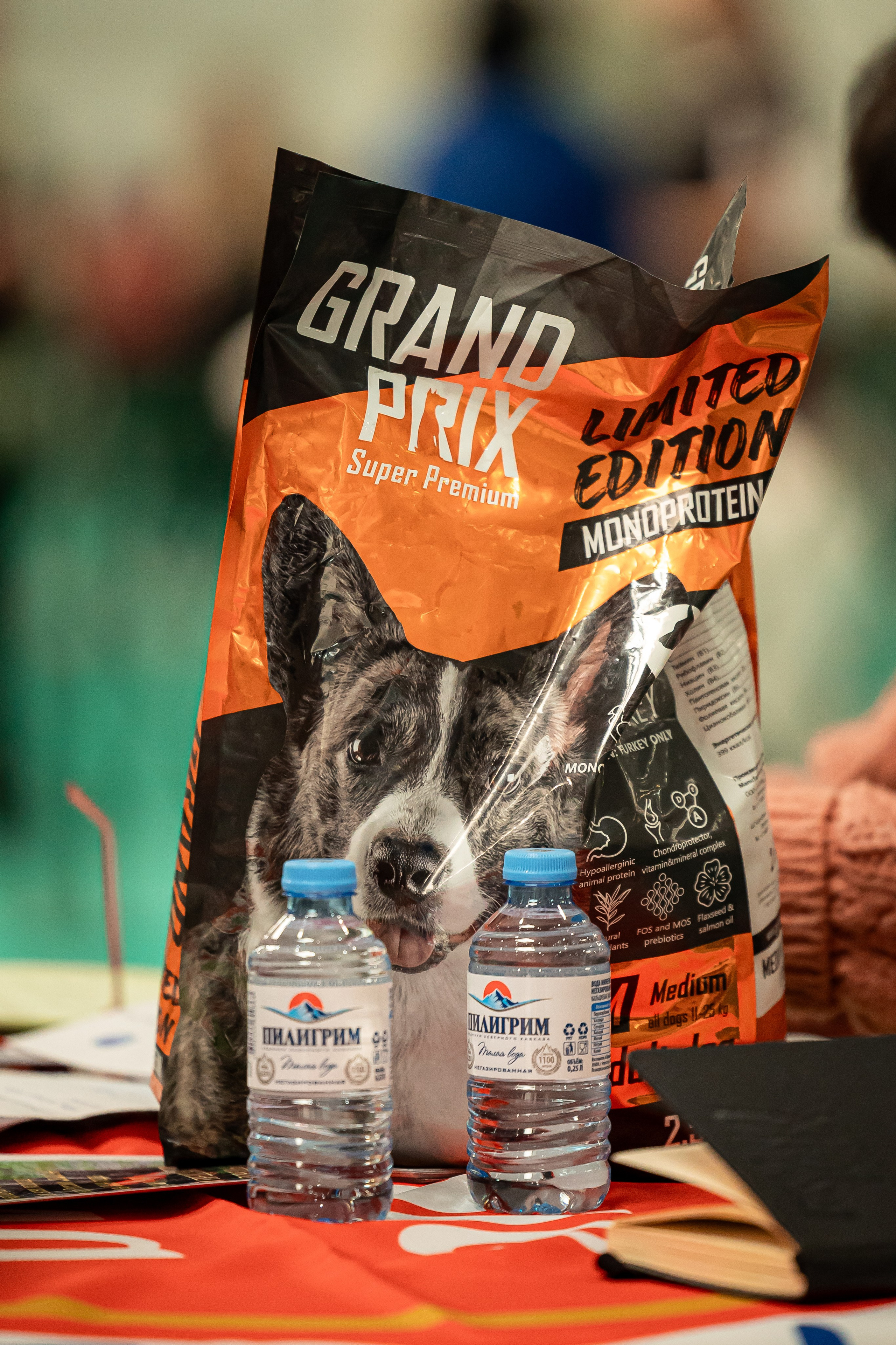 Выставка сеттеров 19.05.24