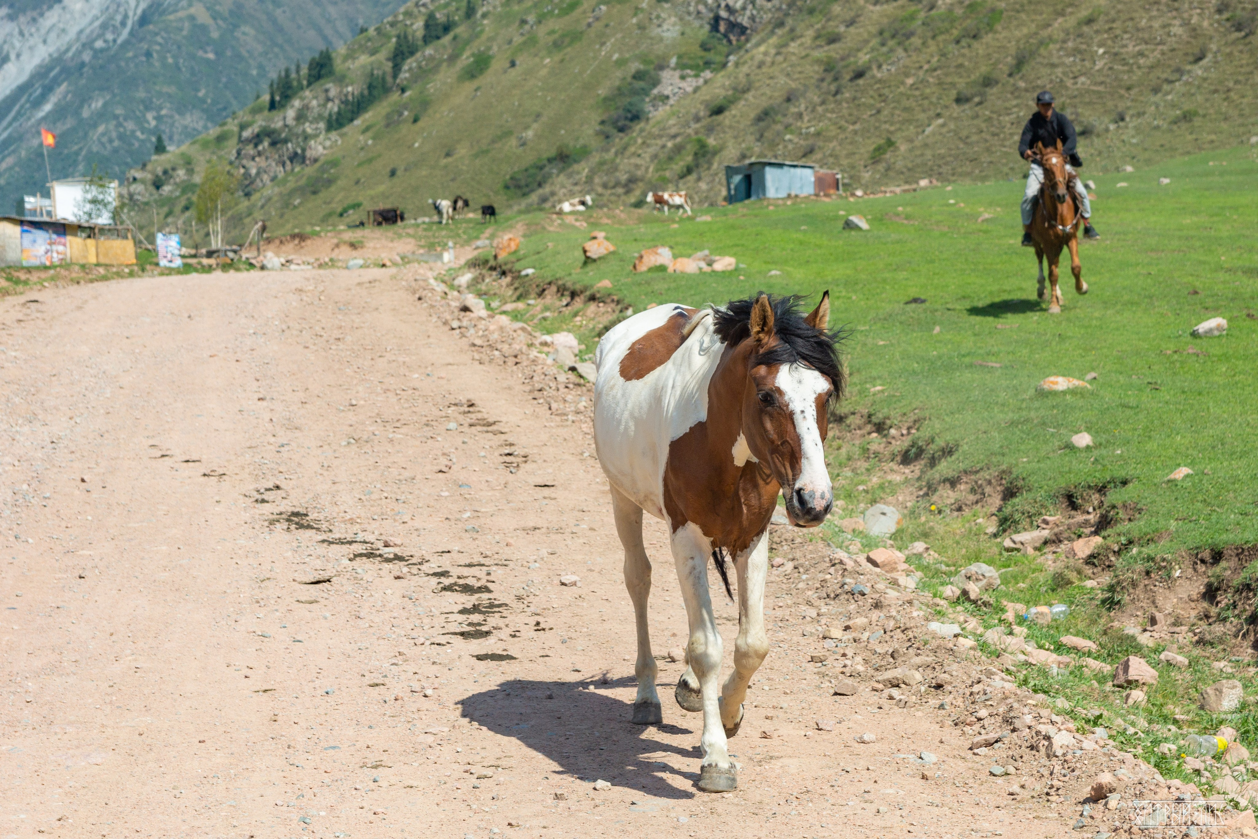 Киргизия. Фотограф-путешественник Самойлов Максим «Sly Fox»