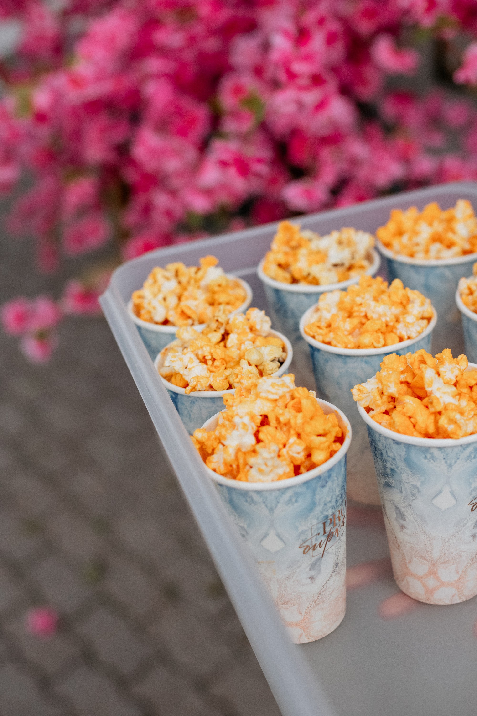 PROBIRKA21 — КИНОПОКАЗ. СВОИ. ФОТООТЧЕТЫ-СОБЫТИЯ-МЕСТА