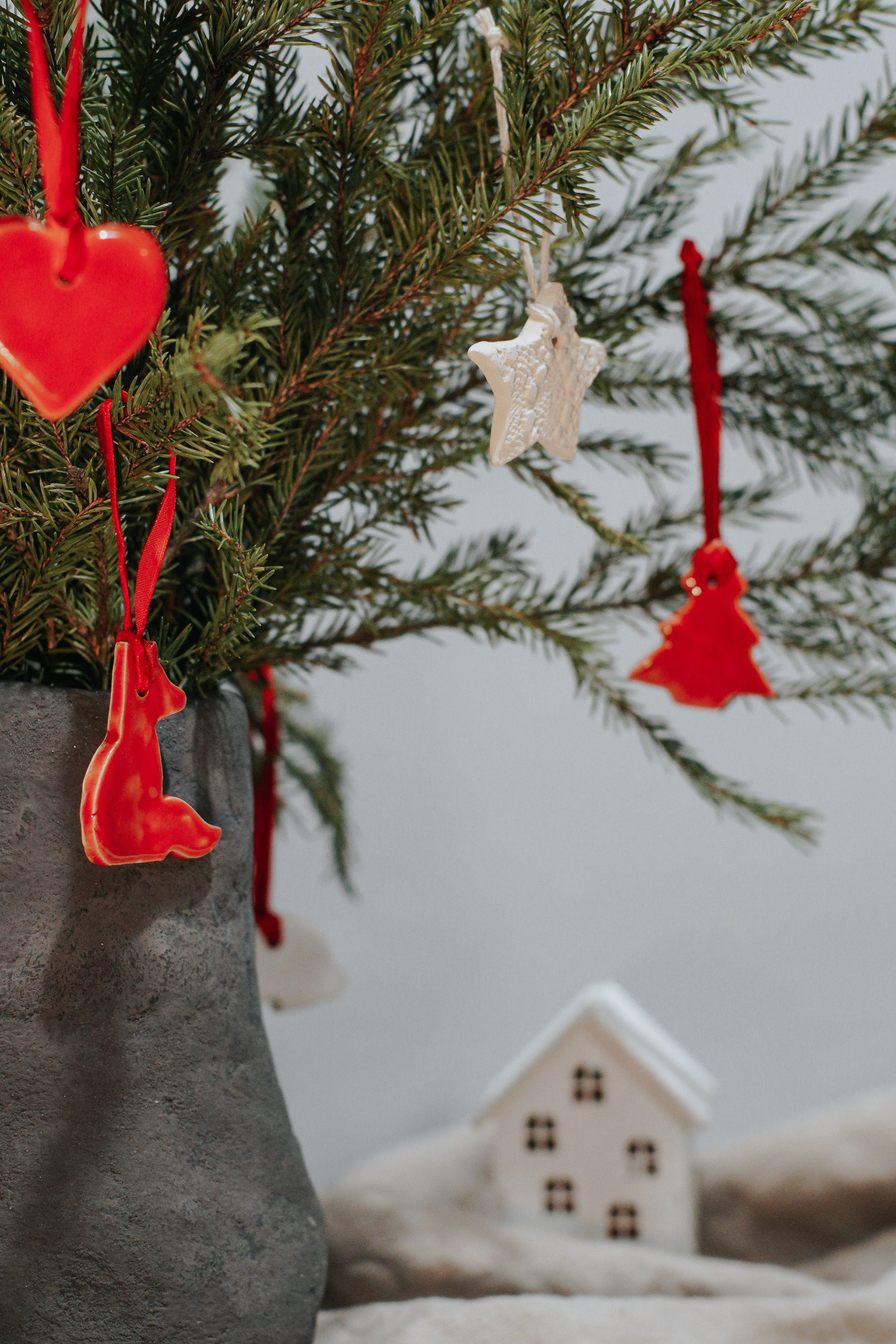 Магазин NOOK. Катя Кудринская. Фотограф на мероприятие СПб. Семейный фотограф