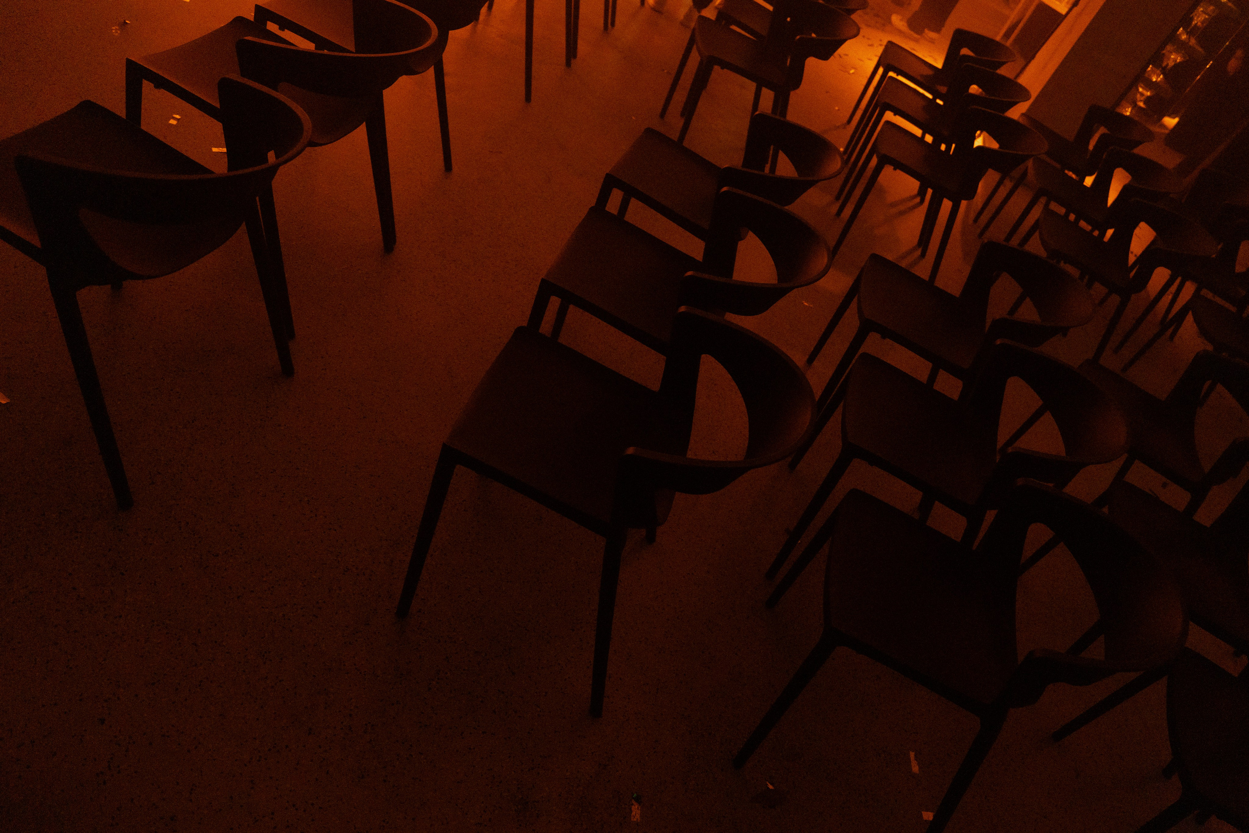 Креветка на ветке. Свадебный фотограф Воронеж СПб Москва