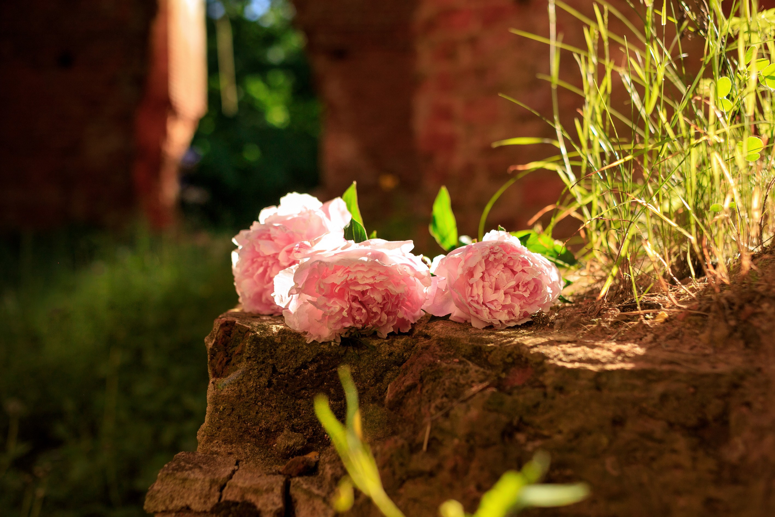 Женская фотосессия в белом платье в развалинах
