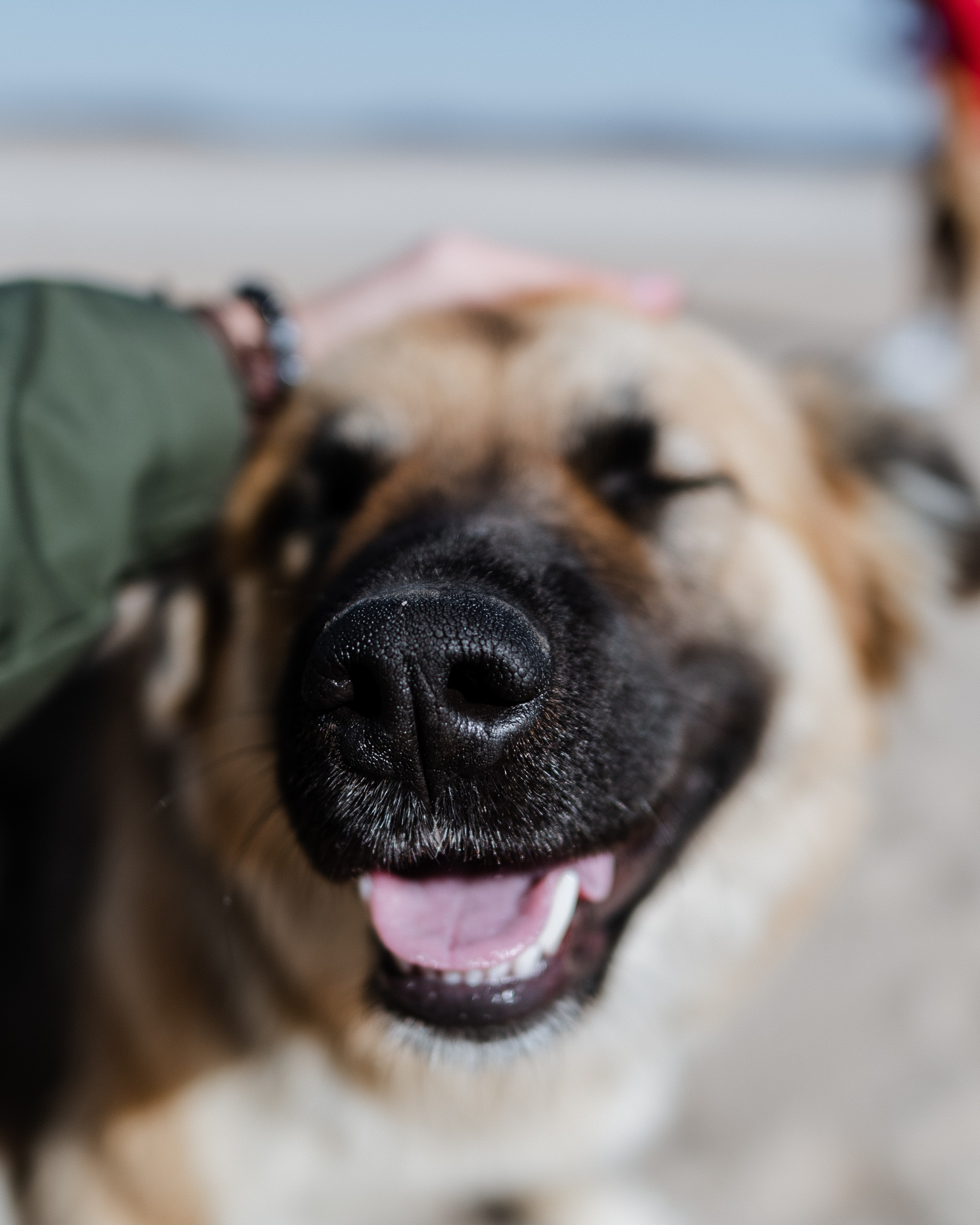 Russia. Primorskiy Kray. Photographer in Tokyo Anatolii Ozarto