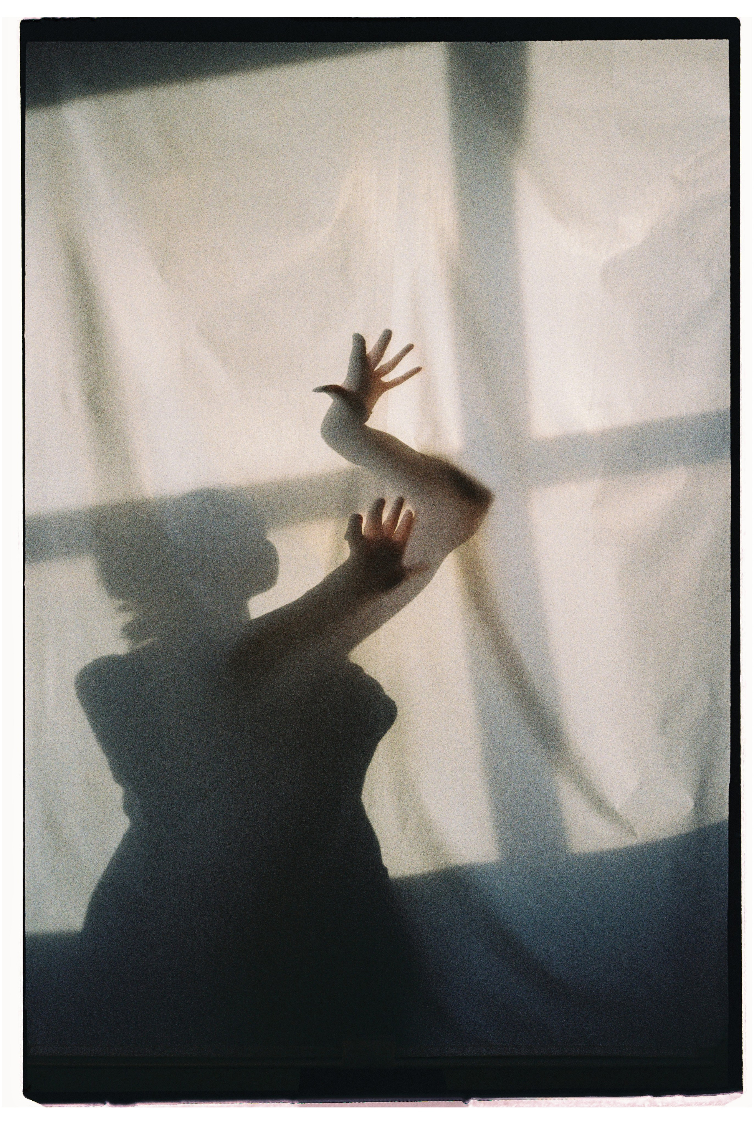 Пленка. Фотограф Андрей Куськало