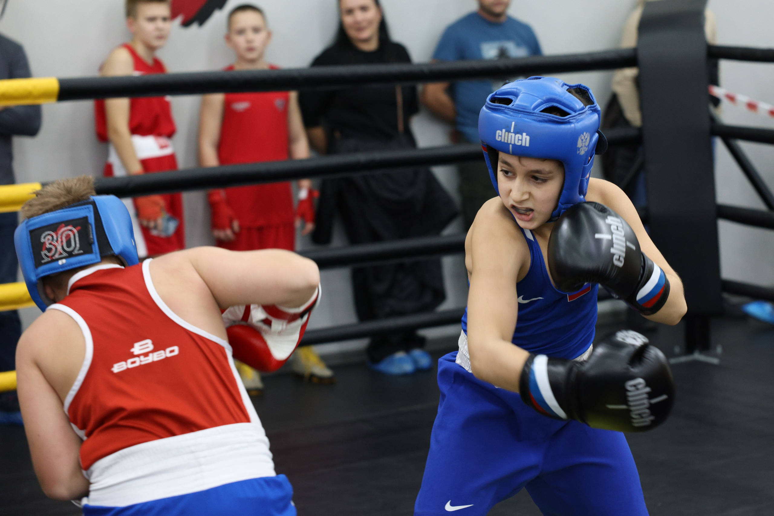 Открытый ринг «кубок ООО «ТЭК НеваСпецТяж». Фотограф Александр Заломаев