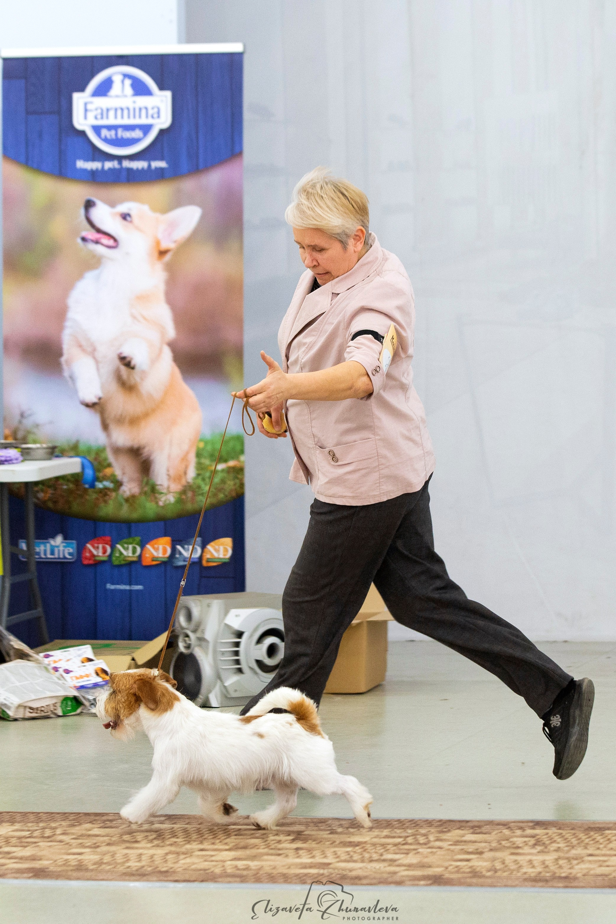 Port Fortis Zoom Zoom