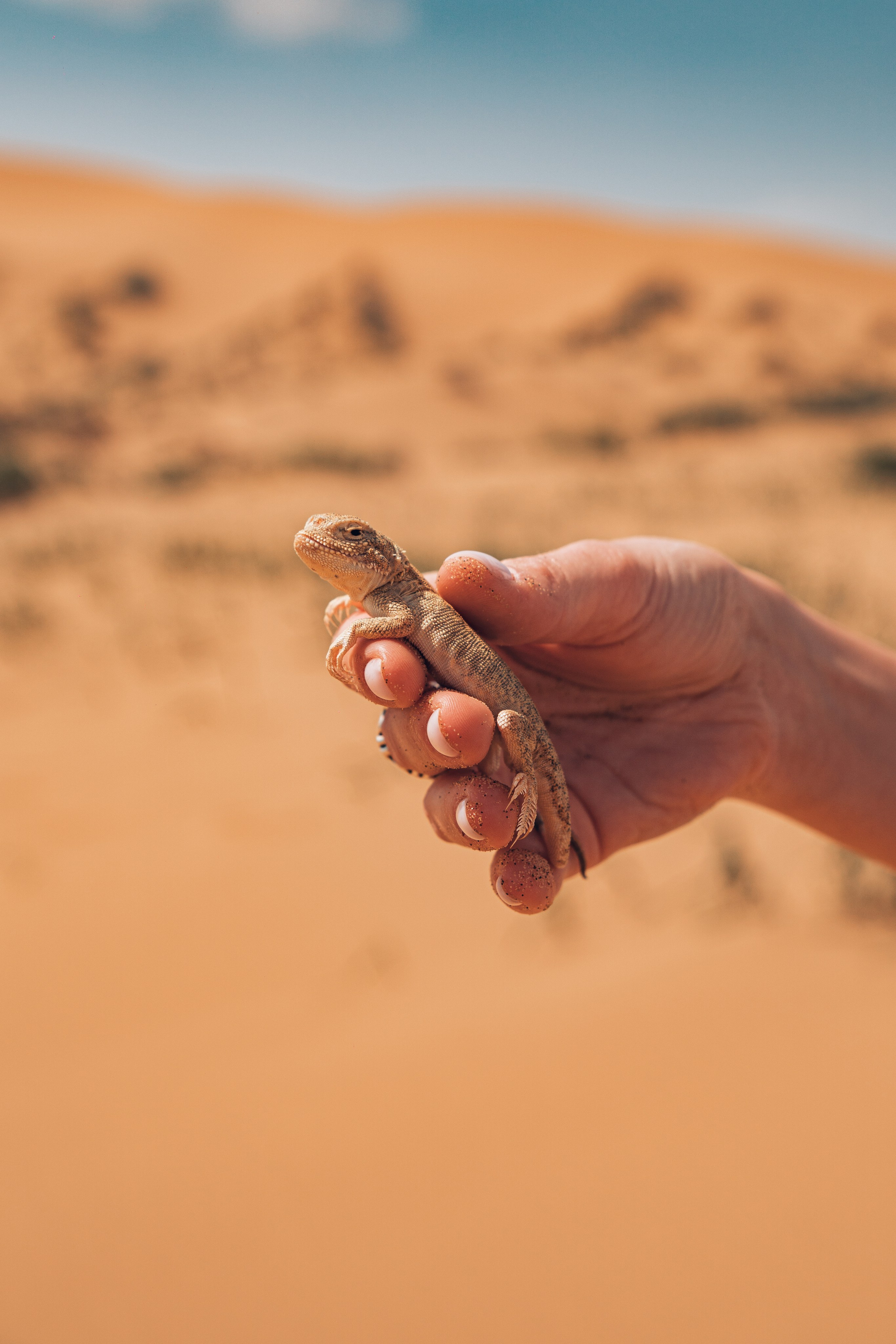 Дагестан. Gusarov Travel Photography