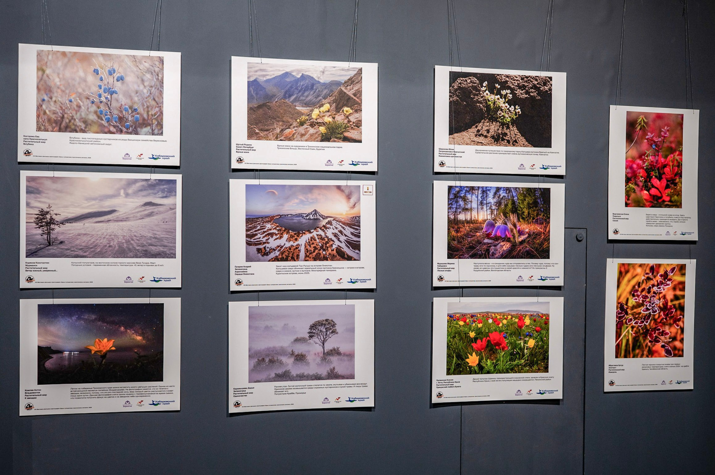 Награды. Andrew Gusarov Nature Photography