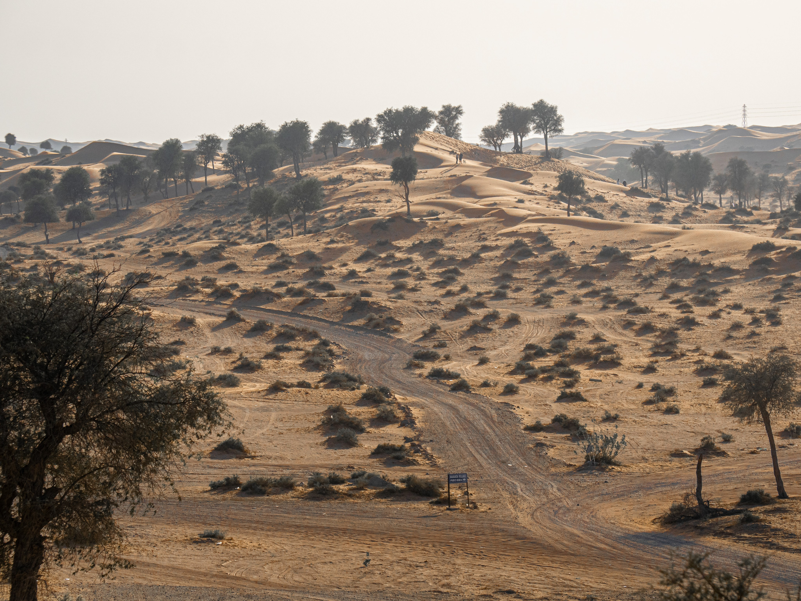 Эмираты, 2023. Творческие сьемки