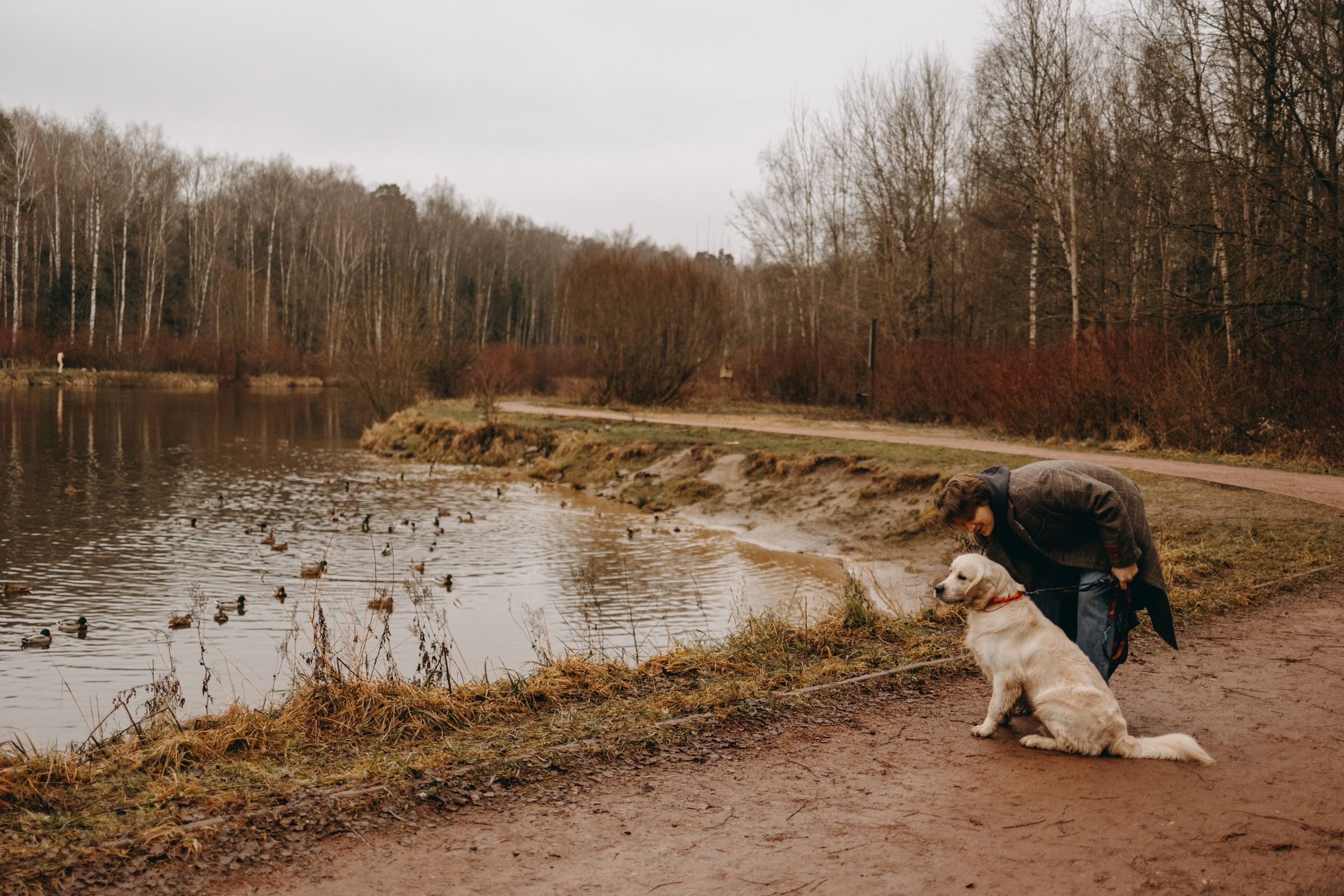 Лаки и его семья. Фотограф — Анималист | Санкт-Петербург