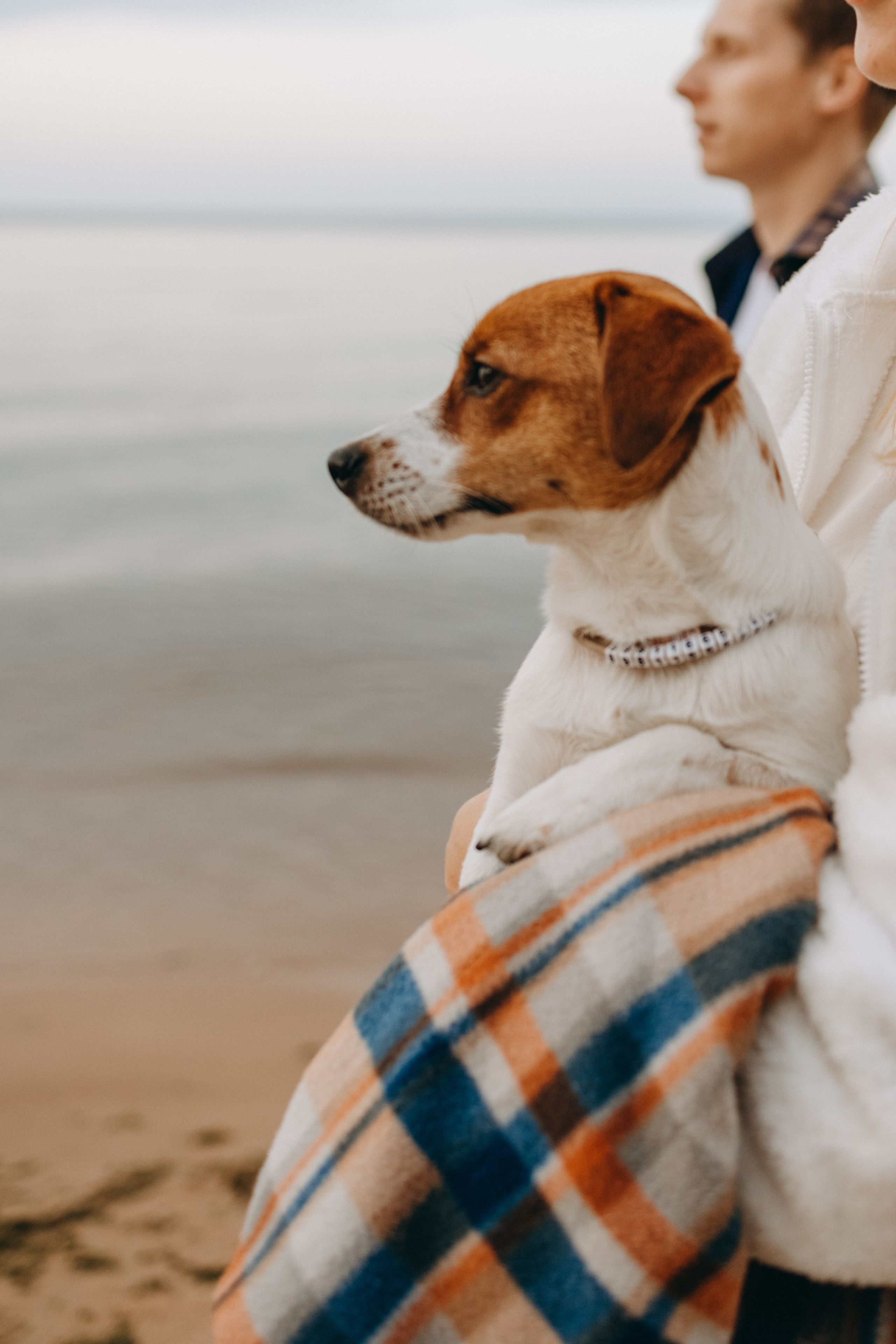 Лея и ее семья. Фотограф — Анималист | Санкт-Петербург