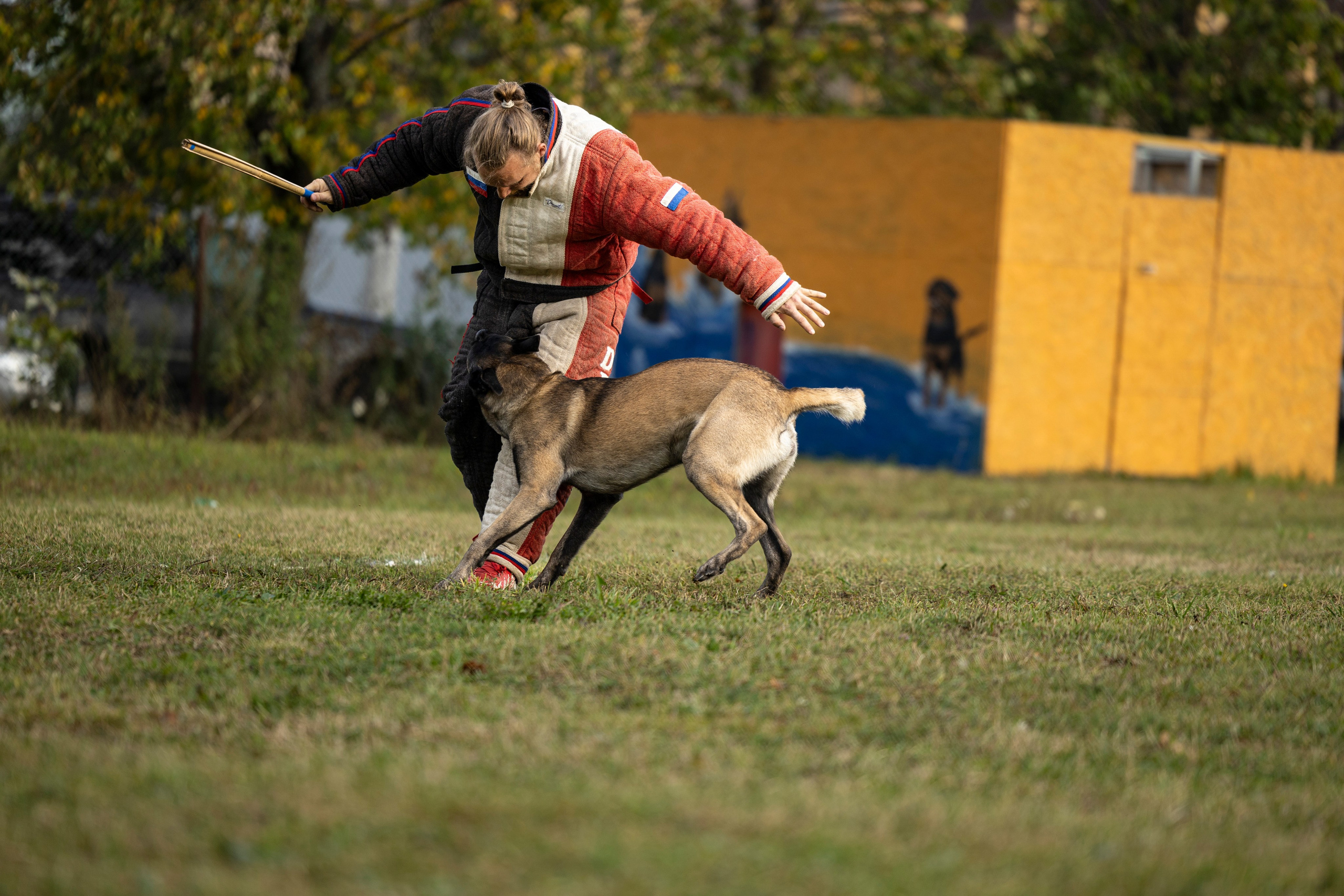 Испытания по Мондьорингу г. Пушкин. Фотограф-анималист Анна Маринич