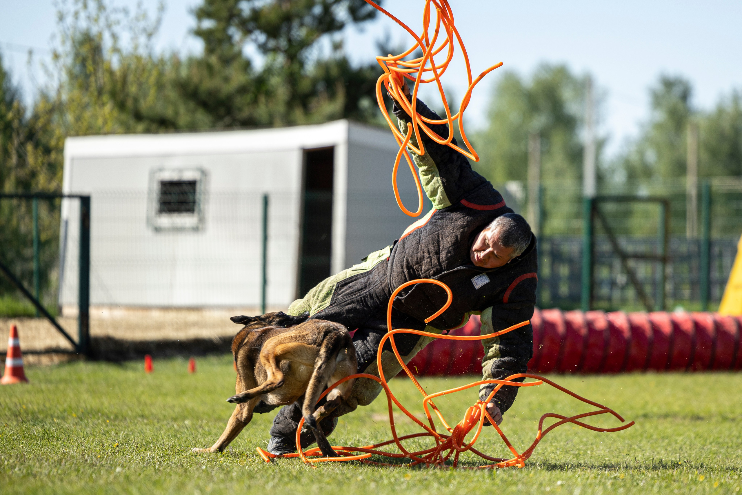 Испытания по мондьорингу в Нижнем Новгороде. Фотограф-анималист Анна Маринич