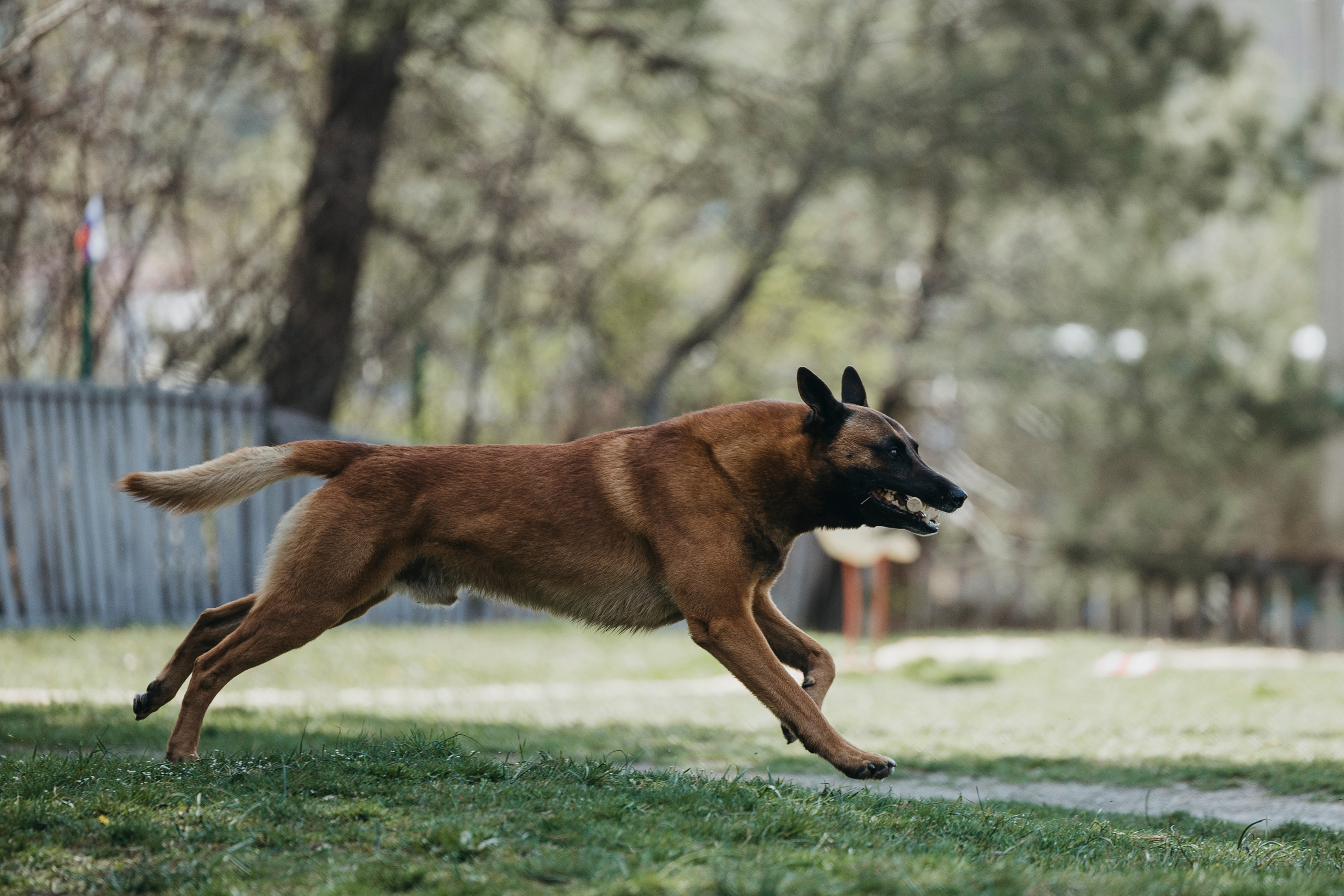 Геленджик Мондьоринг. Фотограф-анималист Анна Маринич