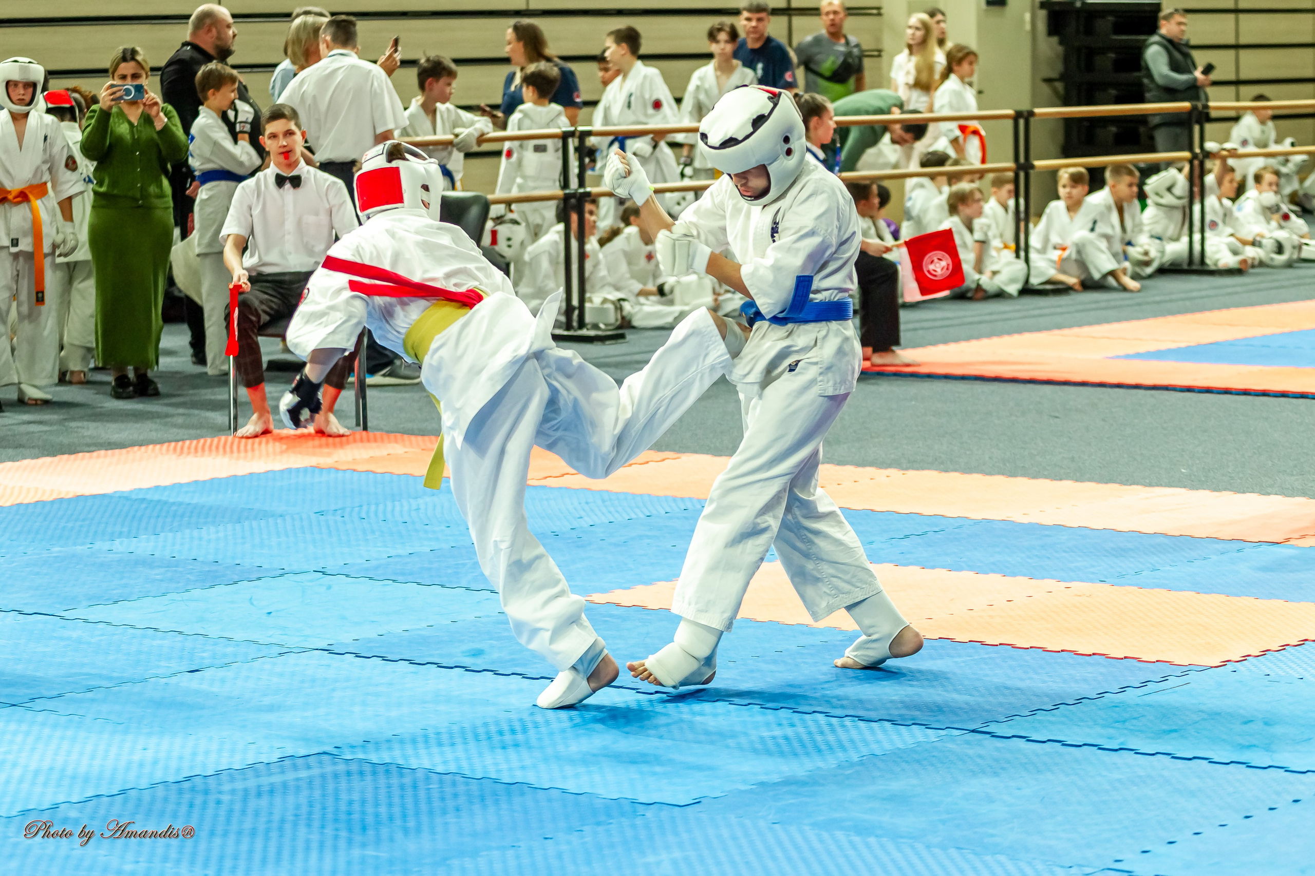 Первенство Московской области по Киокушин в СК «Жаворонки». Репортажная съемка в Москве и области. Анималистика