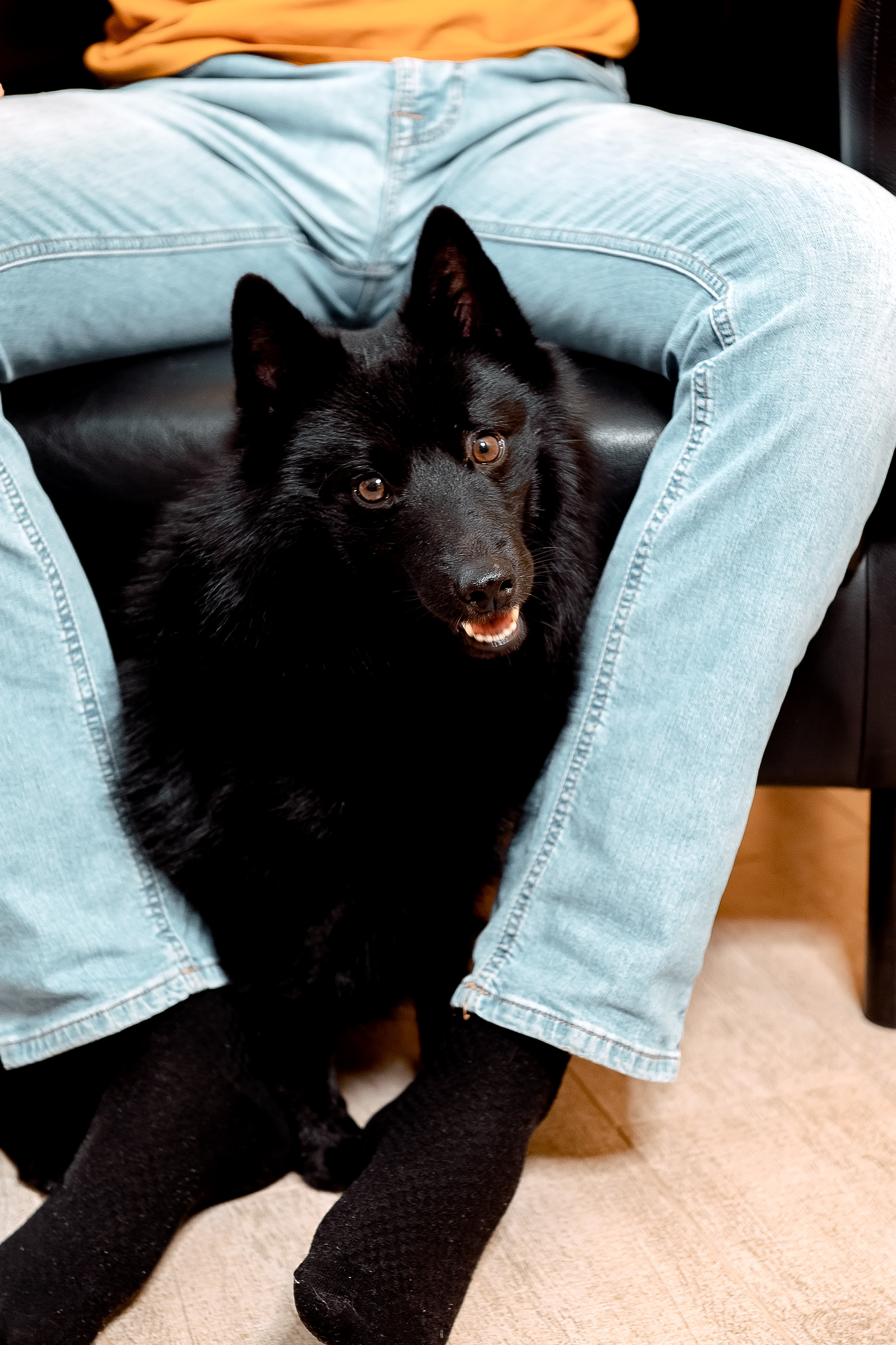 Марина и семья, Щелково, домашняя фотосессия. Свадебный и семейный фотограф Виктория Носачёва. Щелково, Москва и МО