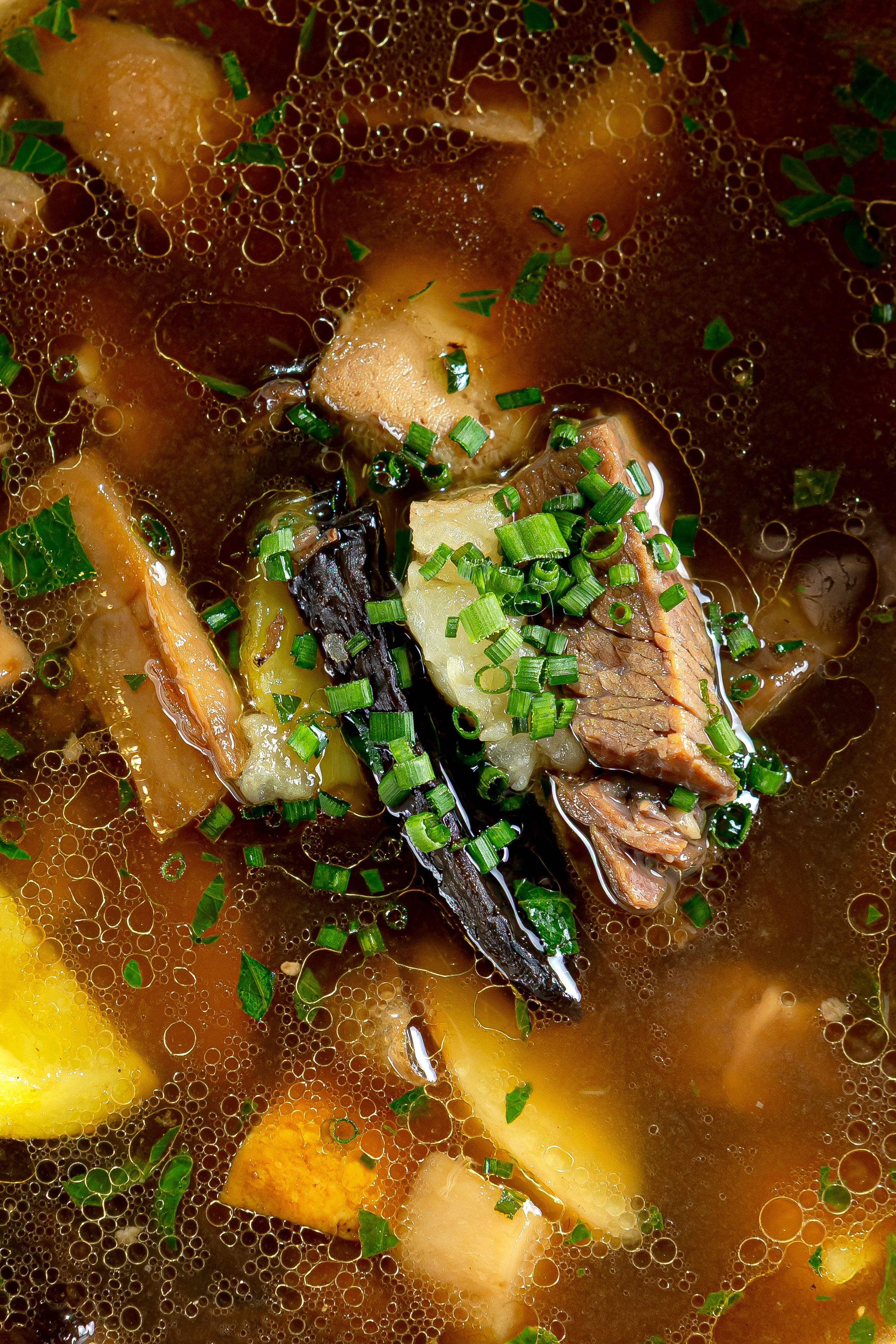 GUSSI. Фотограф Агеева Мария