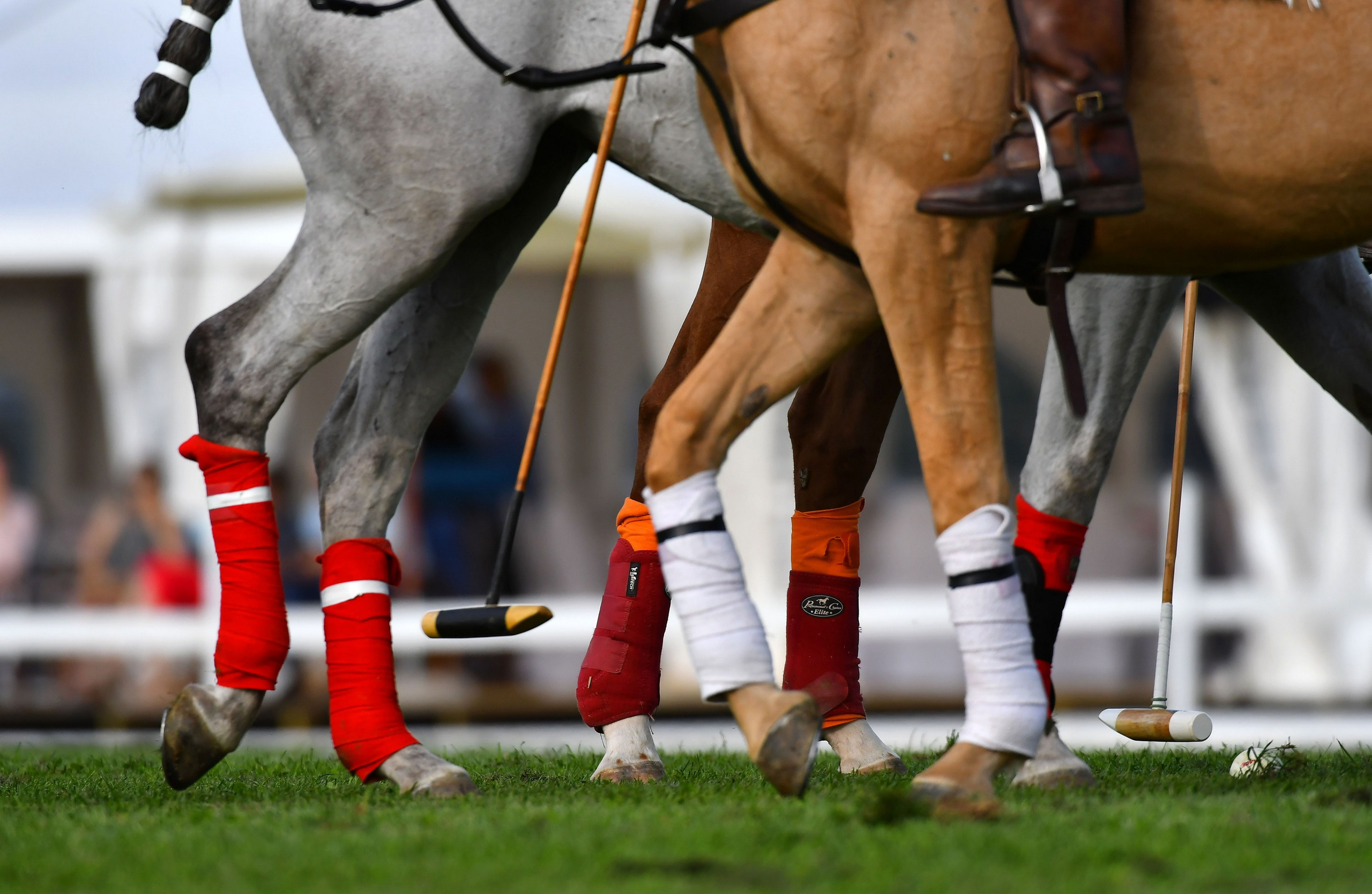 Polo art photos. Art photos of horses — ARTUR BABOEV | Photographer