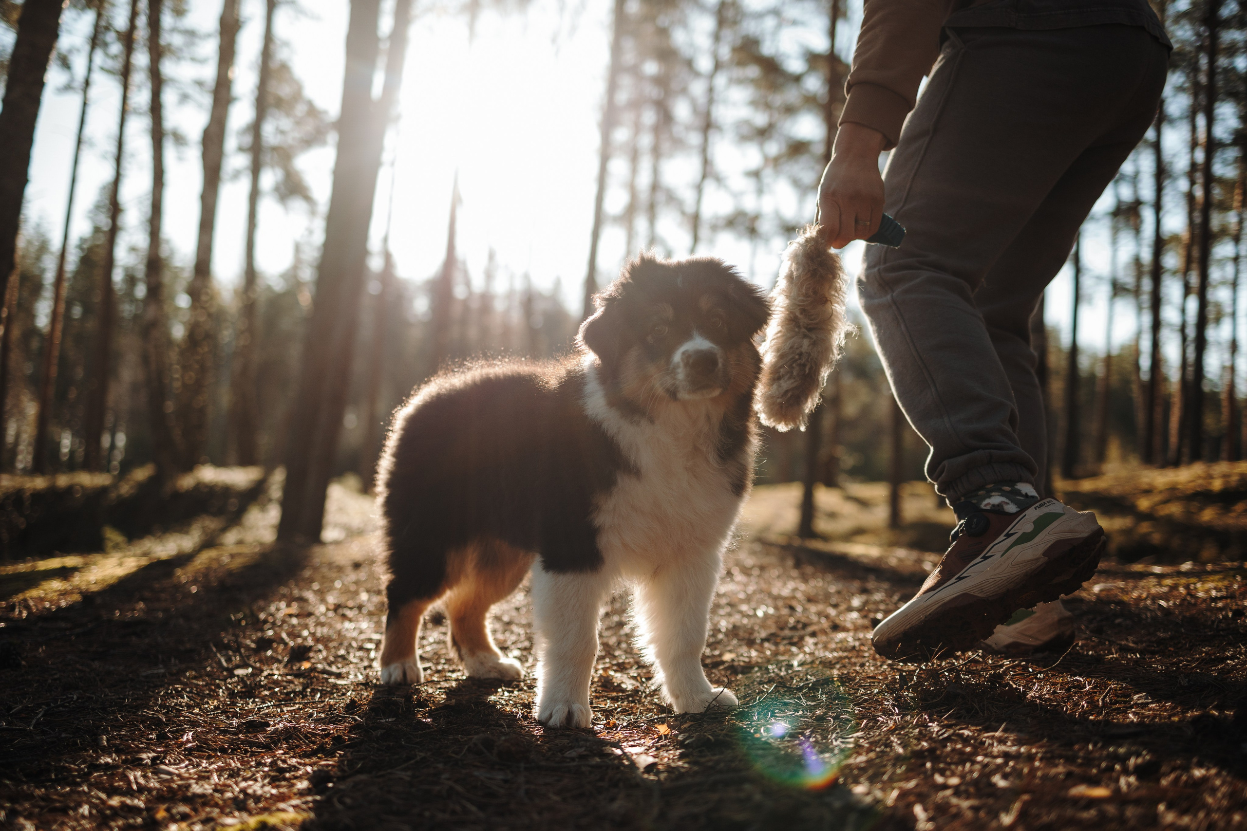 Ира и Шмель. Фотограф — Анималист | Санкт-Петербург