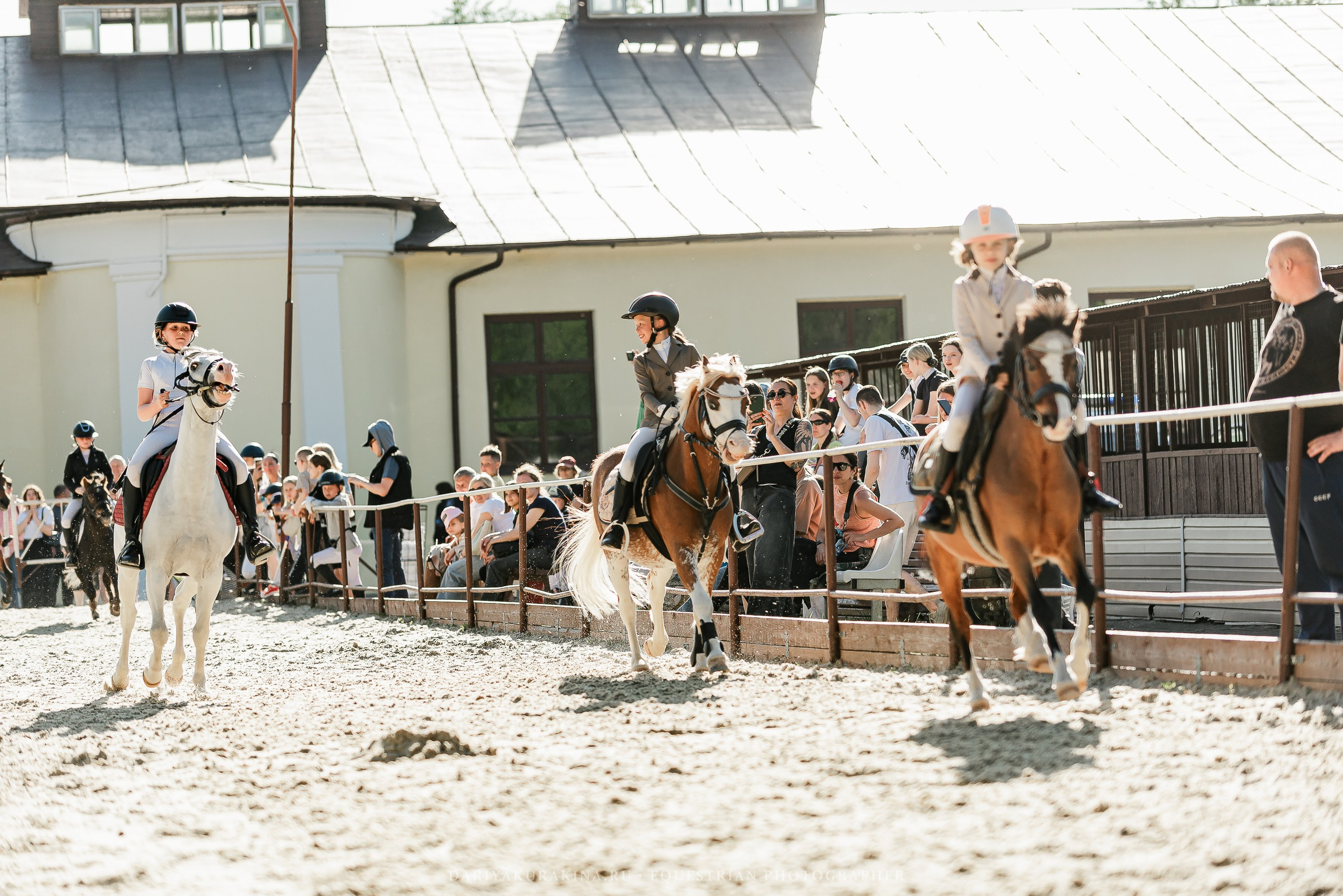 #ПОНИФОРУМ 2024. Конный фотограф Куракина Дарья • Фотосессии с лошадьми