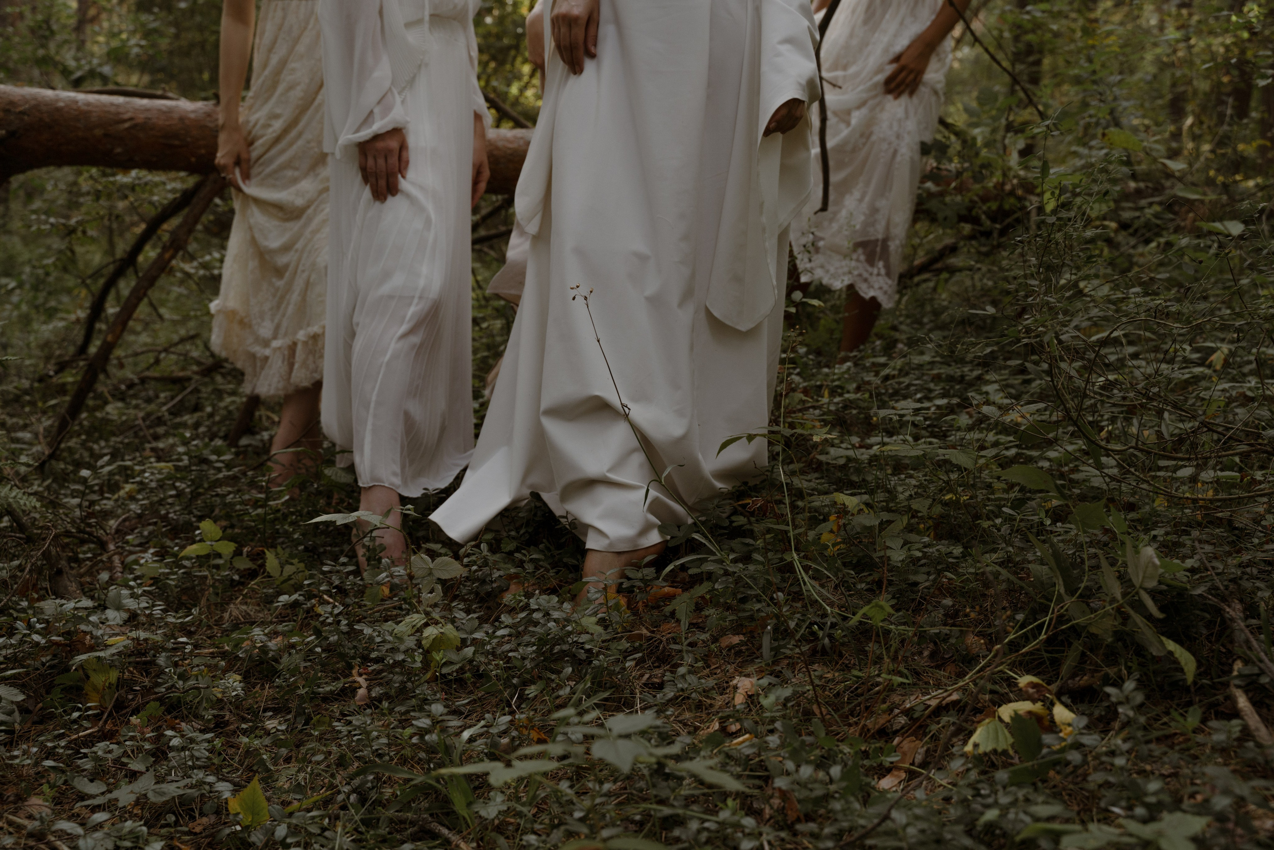 Дикая. Фотограф в Москве и Нижнем Новгороде Никонова Анастасия