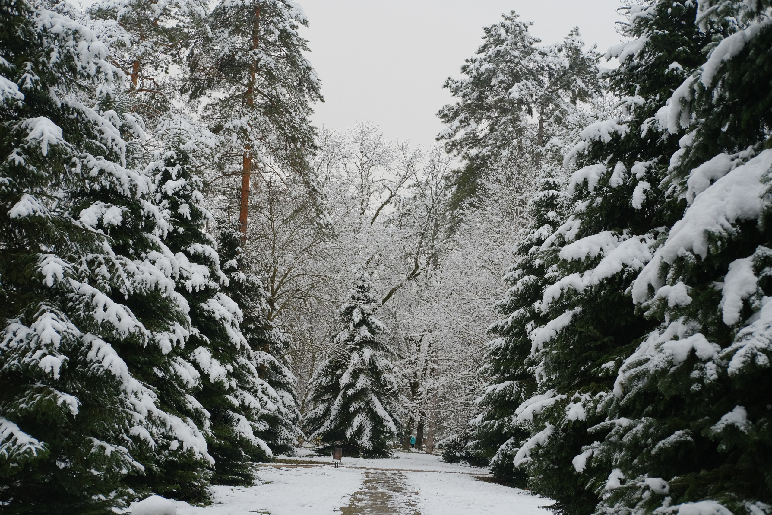 Пейзажная фотография