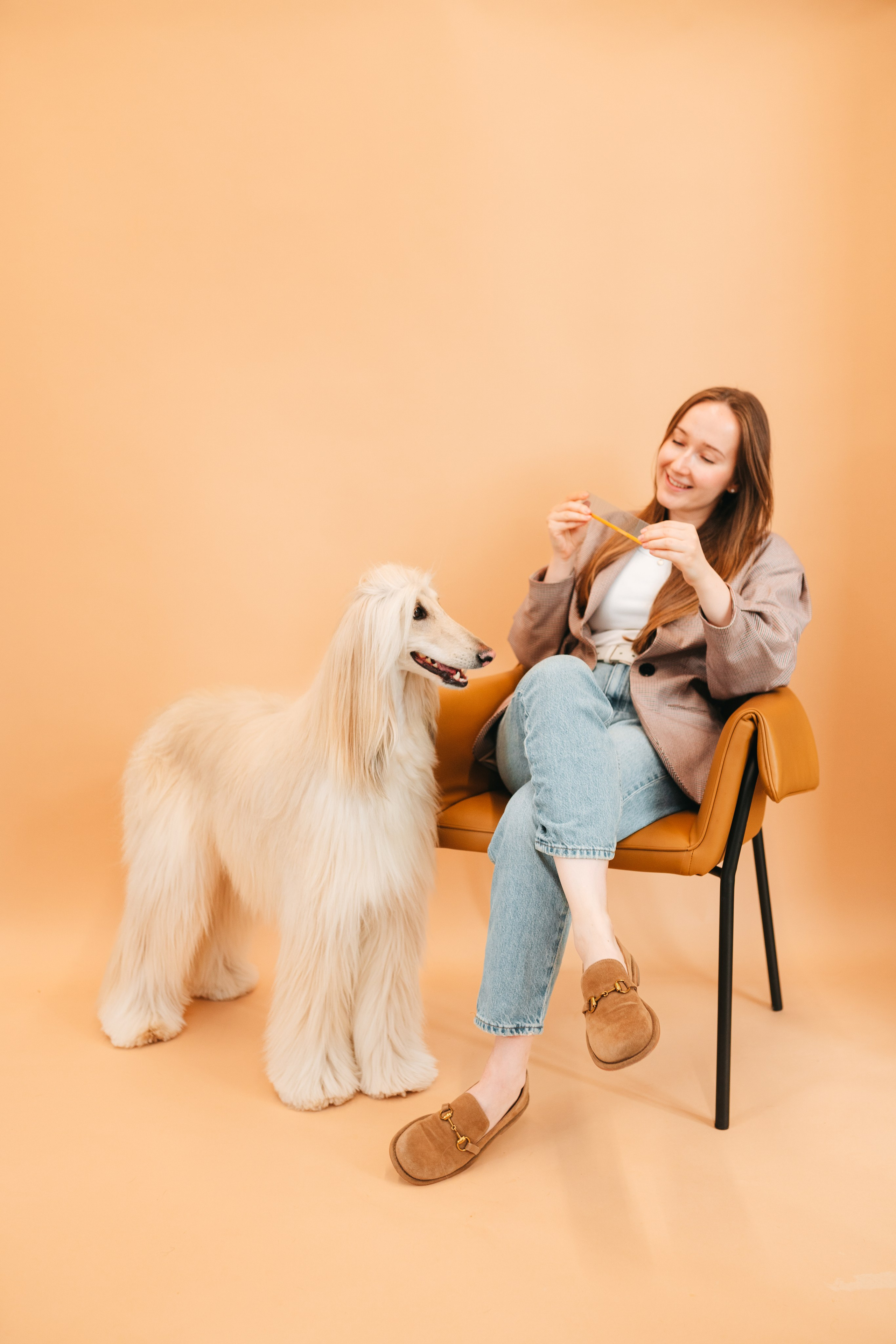 Груминг — салон. Фотограф анималист Осипчикова Мария