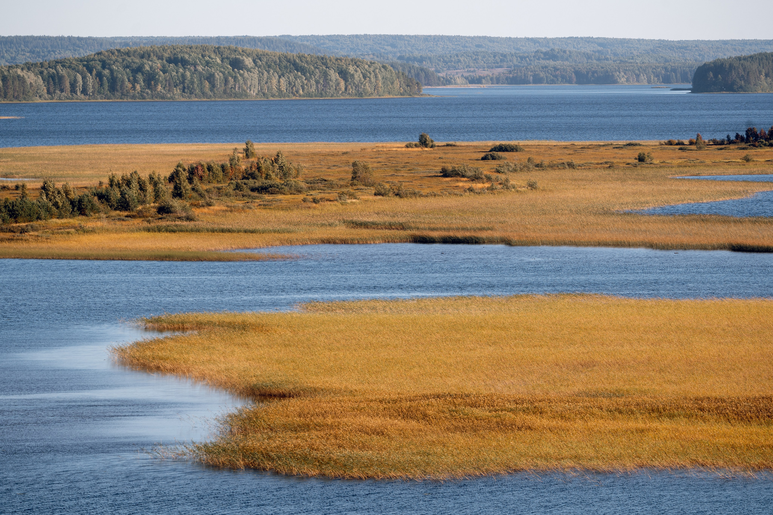 Кенозерье. Фотограф Александр Решня