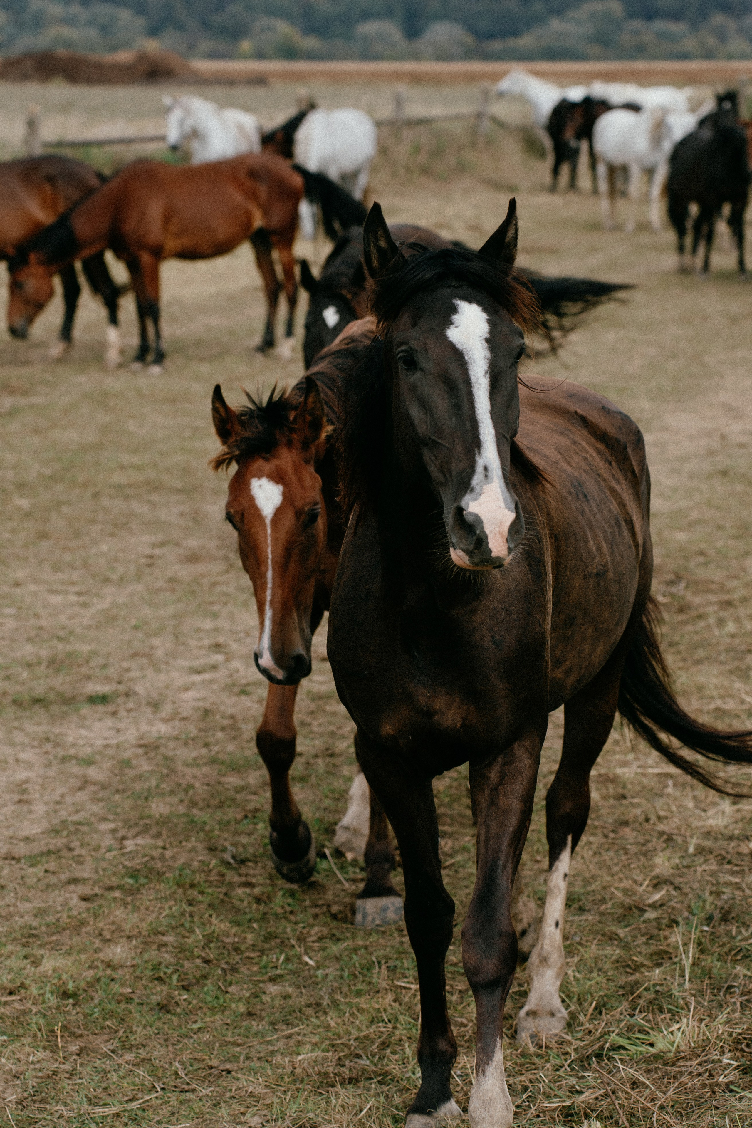 Liza. Фотограф в Москве Маша Игитова