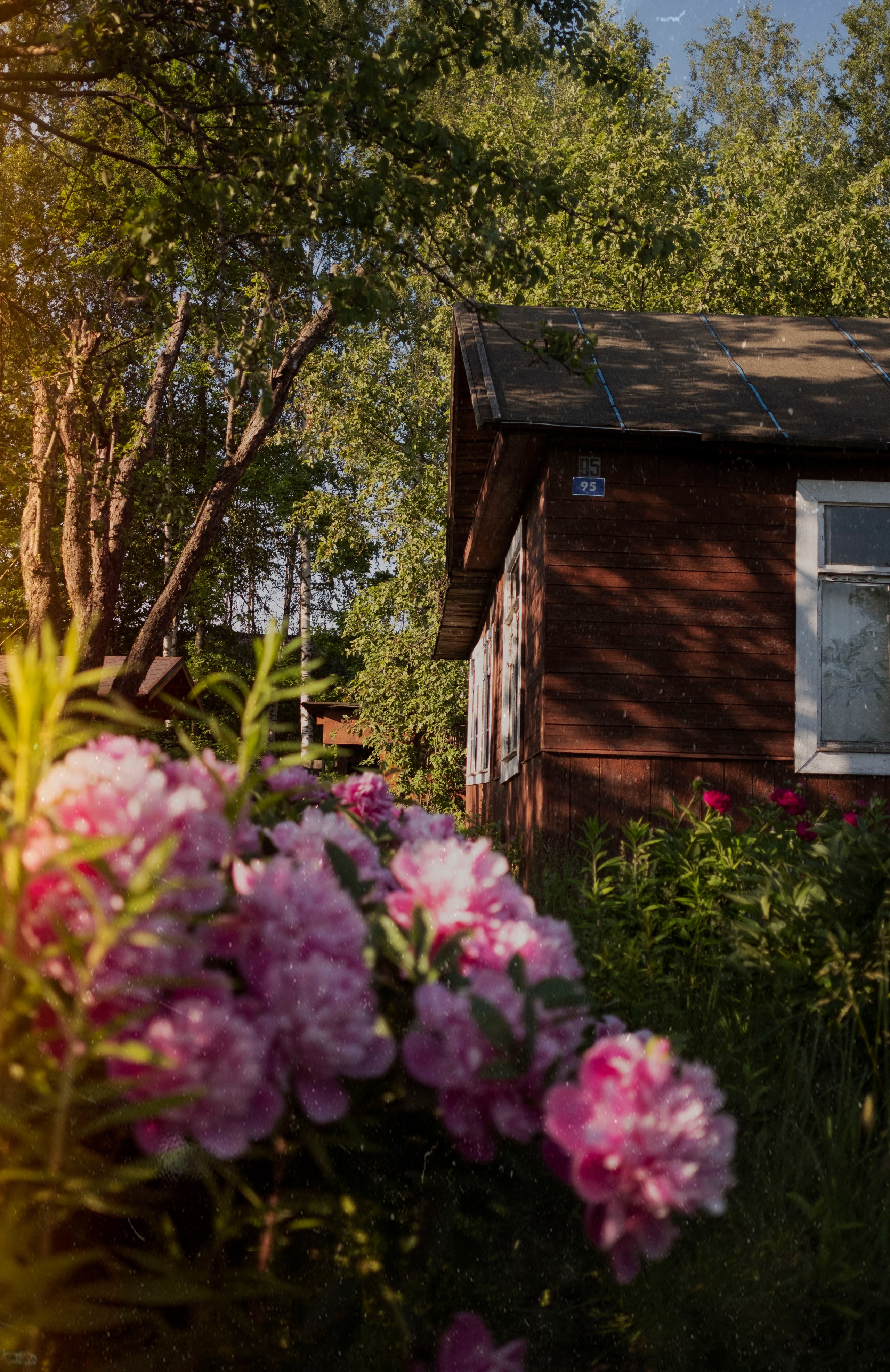 Дача, 2020. Портретный фотограф в Москве Евгения Яковенко