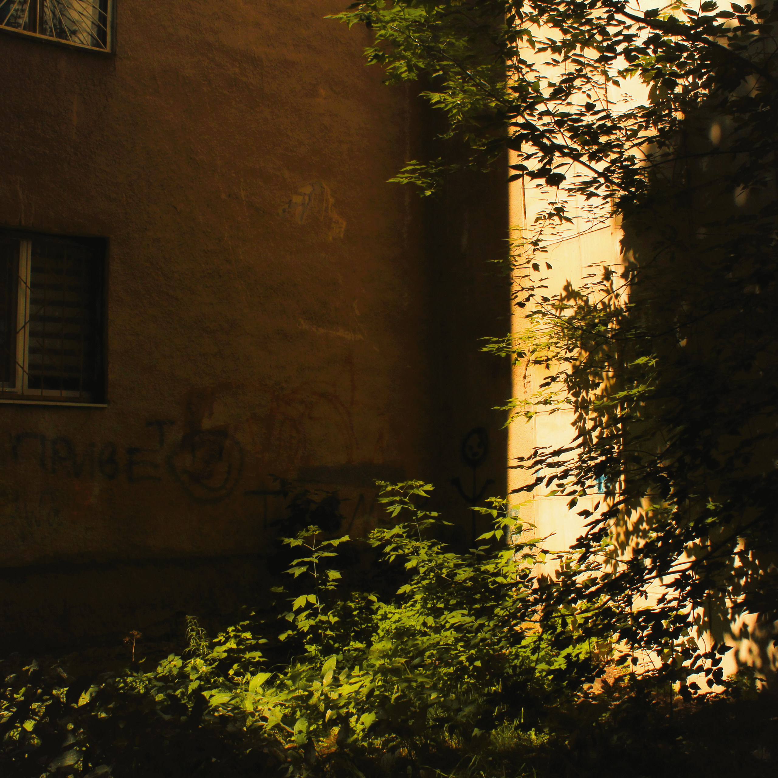 Summertime. Фотограф/дизайнер в Екатеринбурге Хитрый Дмитрий