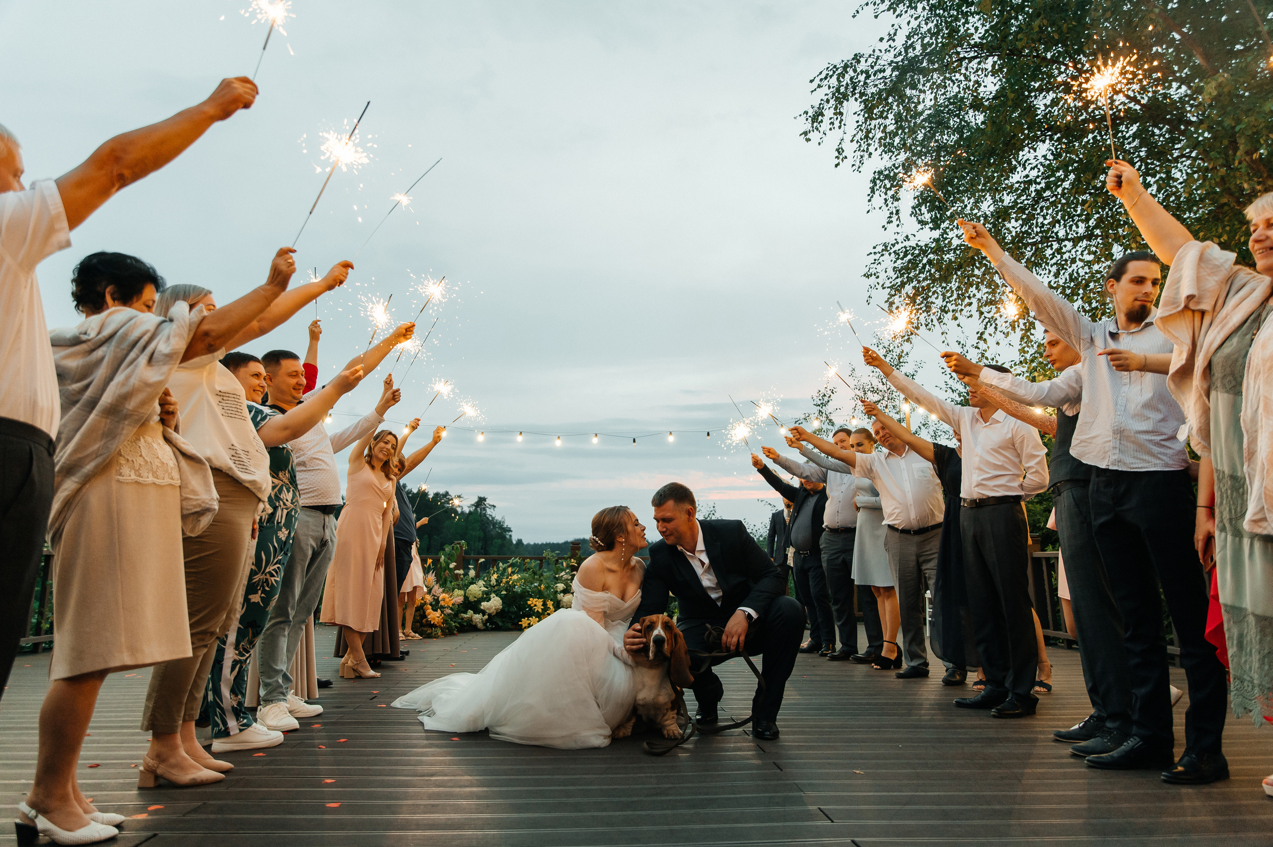 Wedding with dog. Wedding and family photographer in Dubai Vasilii Albul