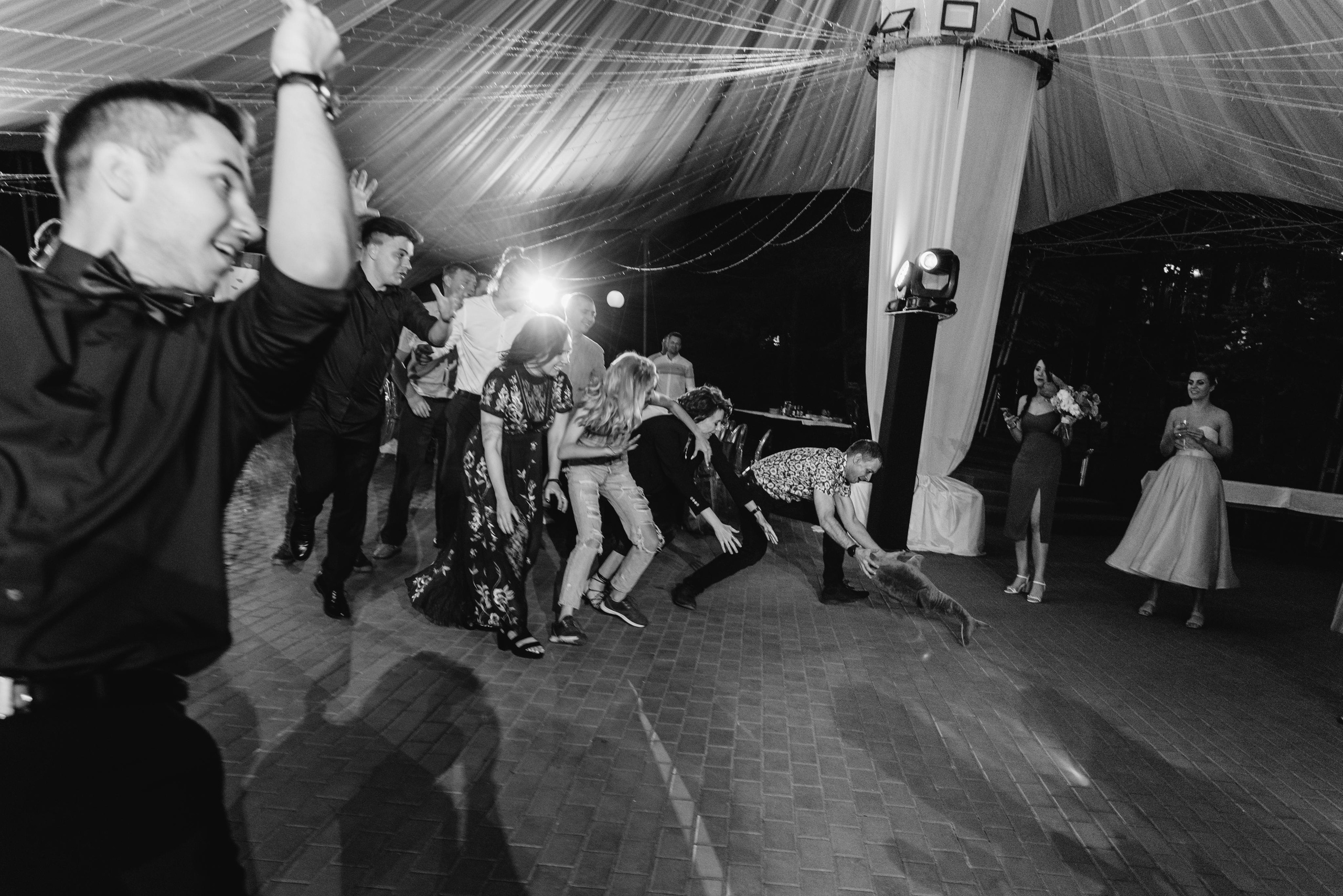 Wedding and family photographer in Dubai Vasilii Albul