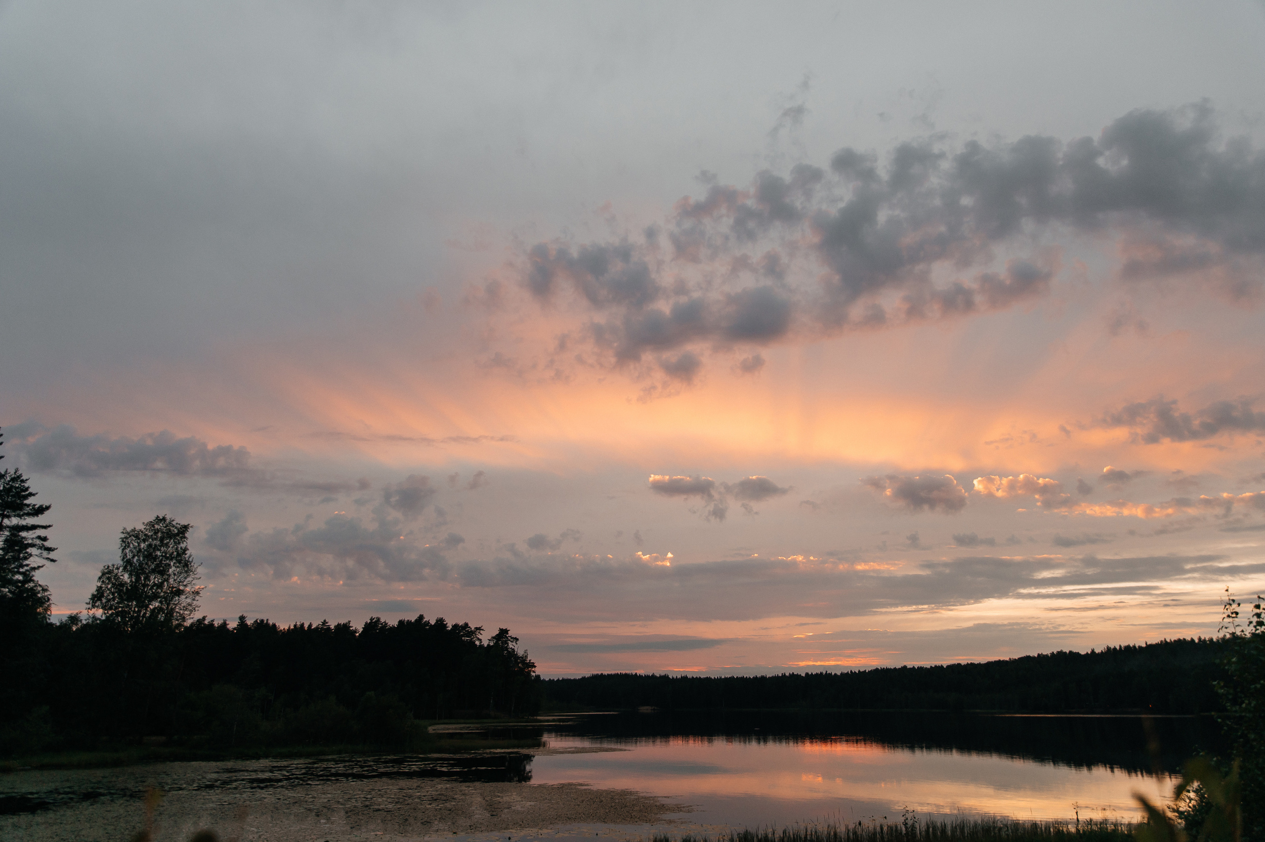 Wedding with dog. Wedding and family photographer in Dubai Vasilii Albul
