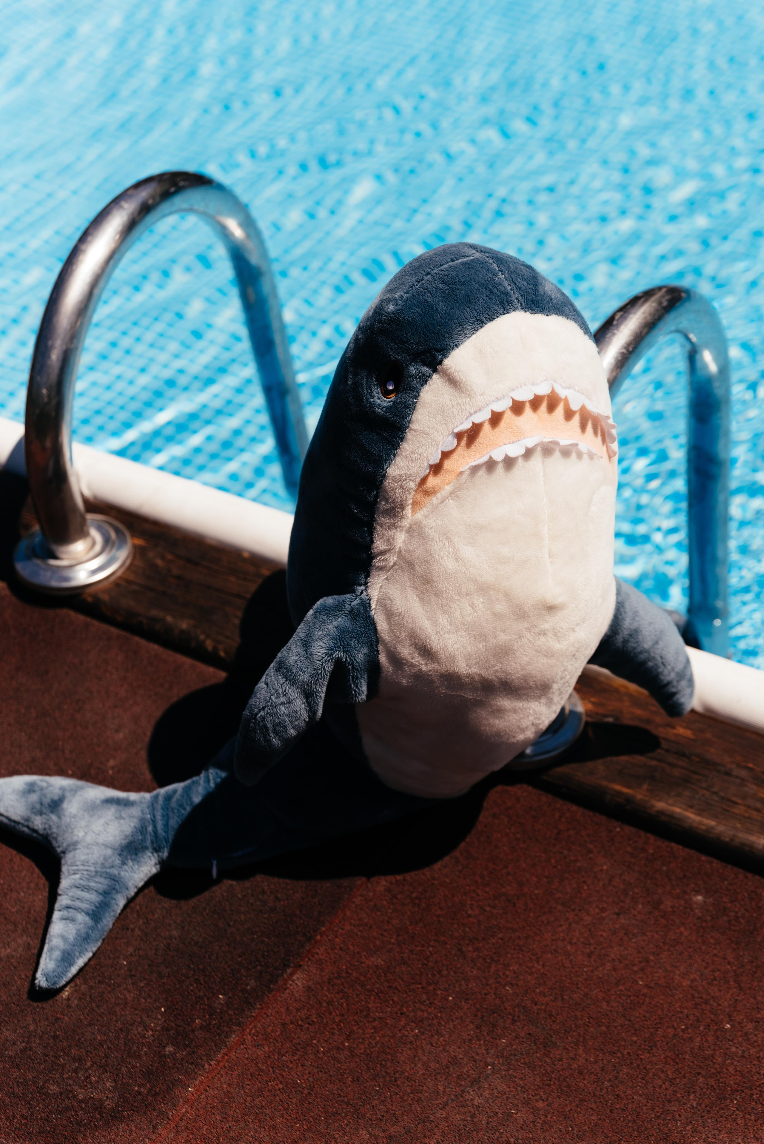 Wedding and family photographer in Dubai Vasilii Albul