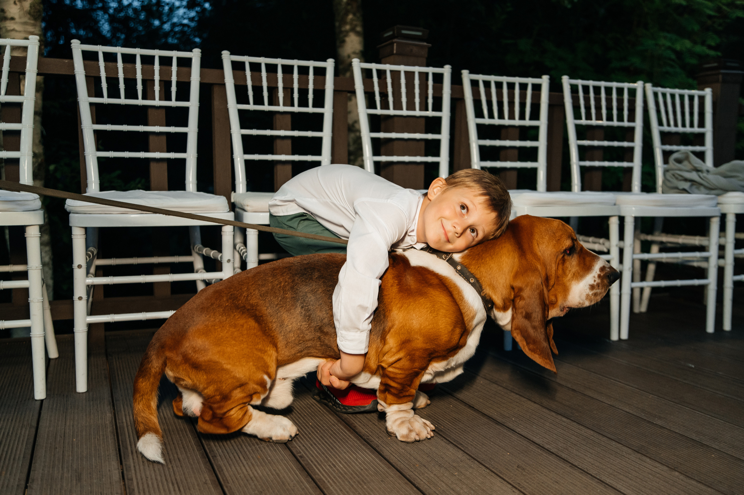 Wedding with dog. Wedding and family photographer in Dubai Vasilii Albul