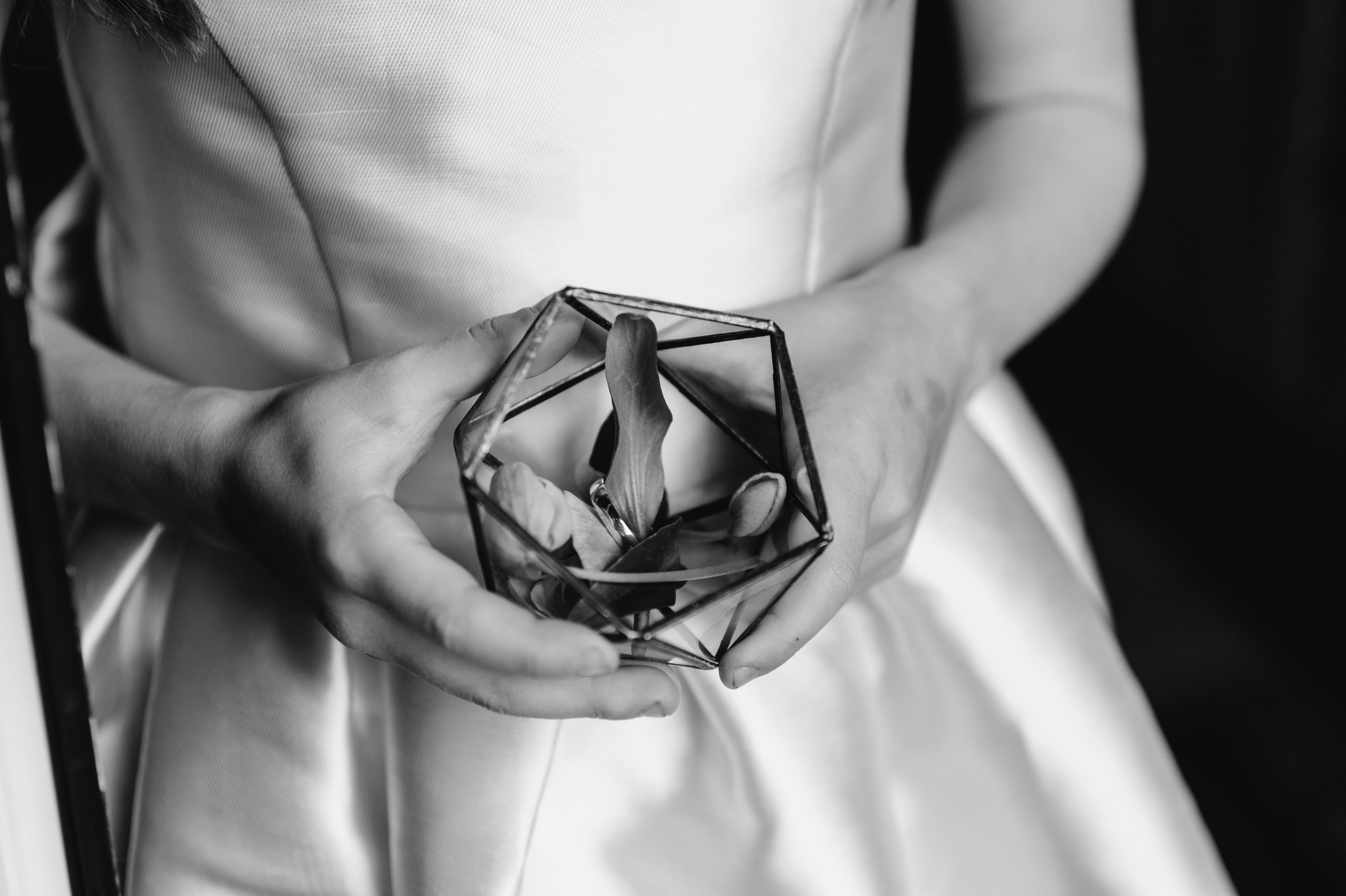 Wedding with dog. Wedding and family photographer in Dubai Vasilii Albul