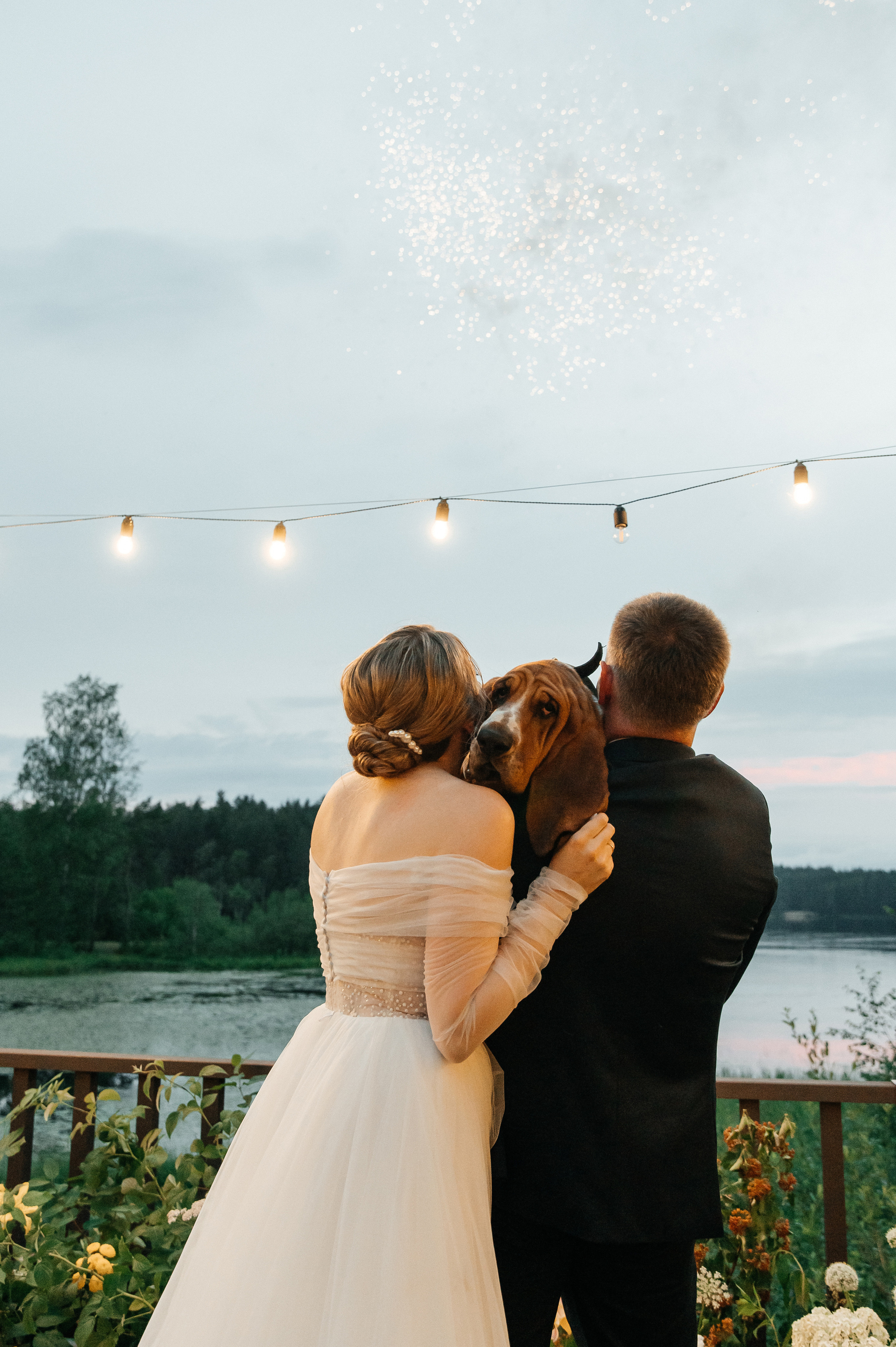 Wedding with dog. Wedding and family photographer in Dubai Vasilii Albul