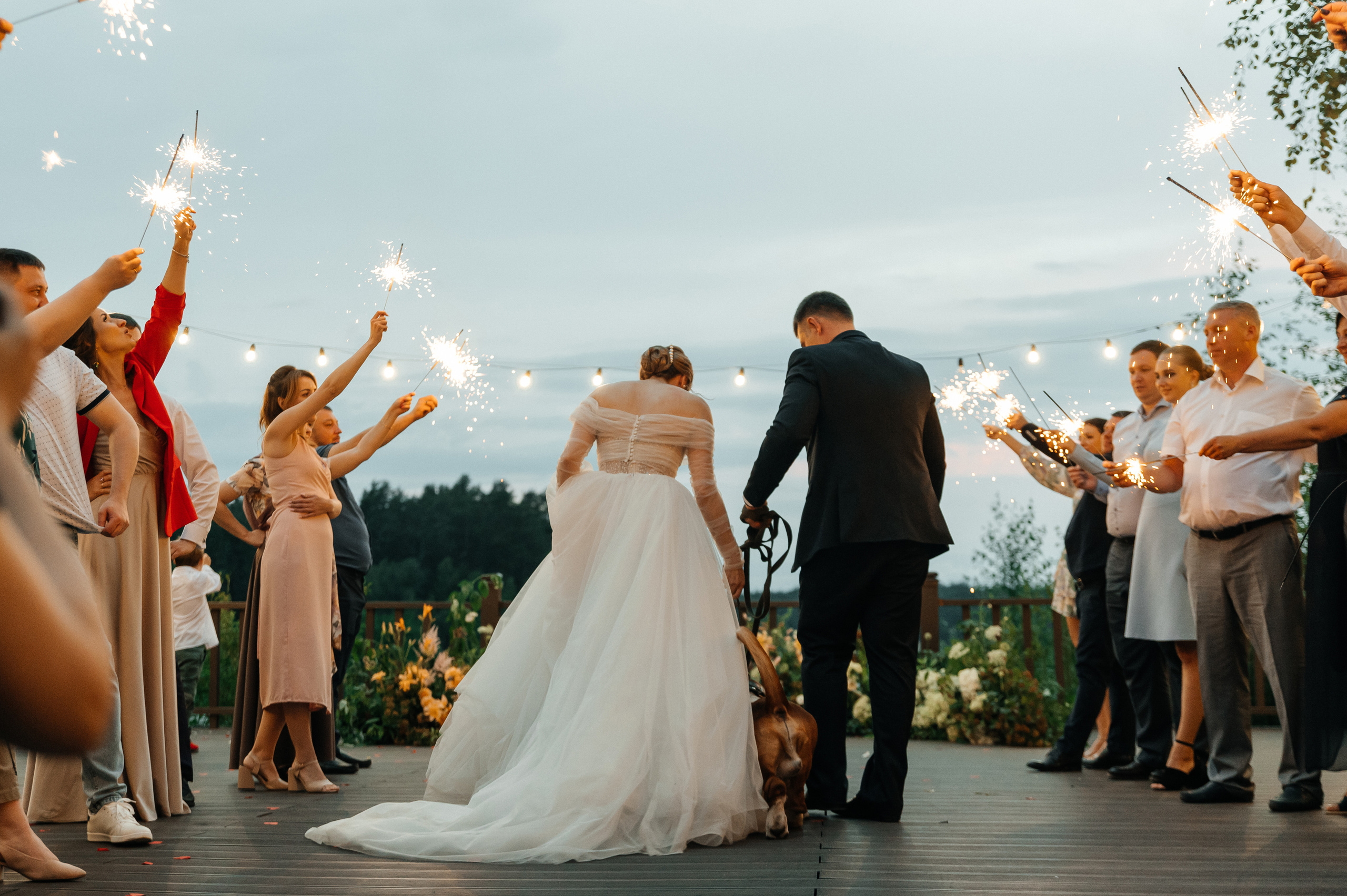 Wedding with dog. Wedding and family photographer in Dubai Vasilii Albul