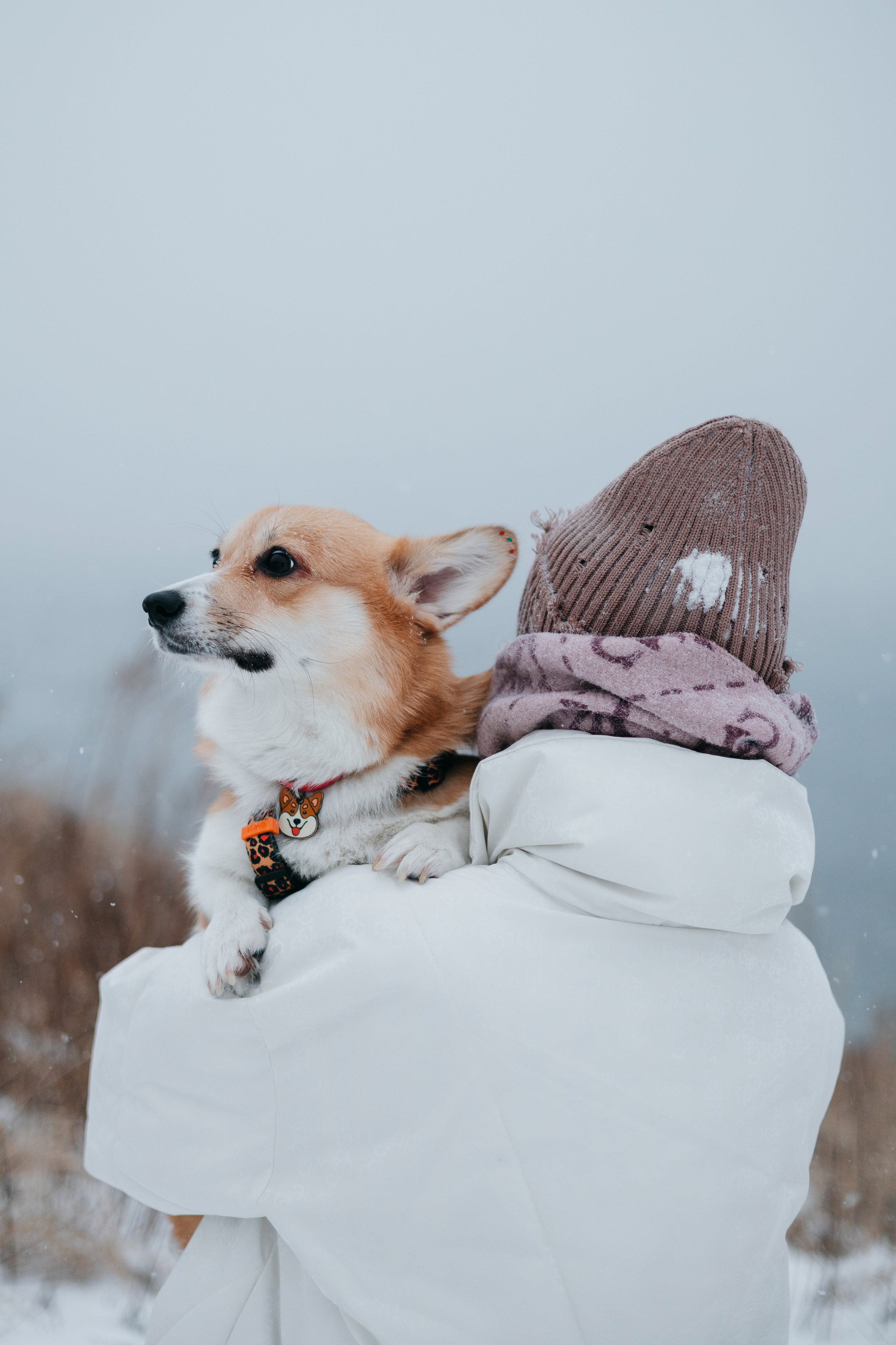 Лена, Лиза и Мия. Фотограф — анималист Владивосток, Алина