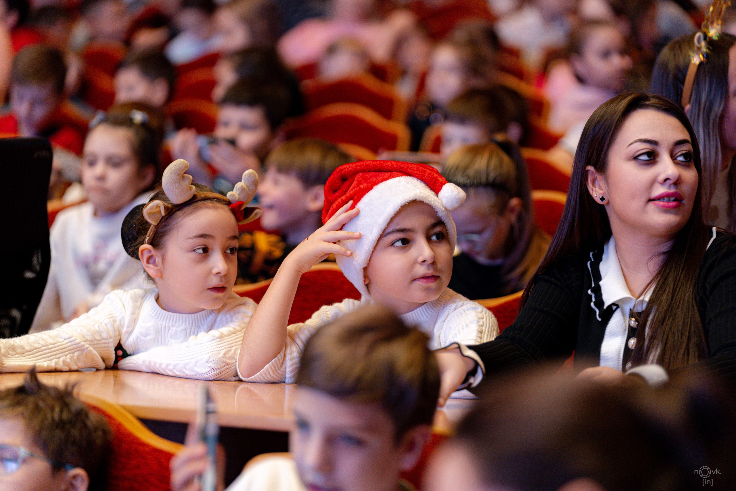 Ёлка. ФОТОГРАФ ИВАН НОВИКОВ | СТАВРОПОЛЬ