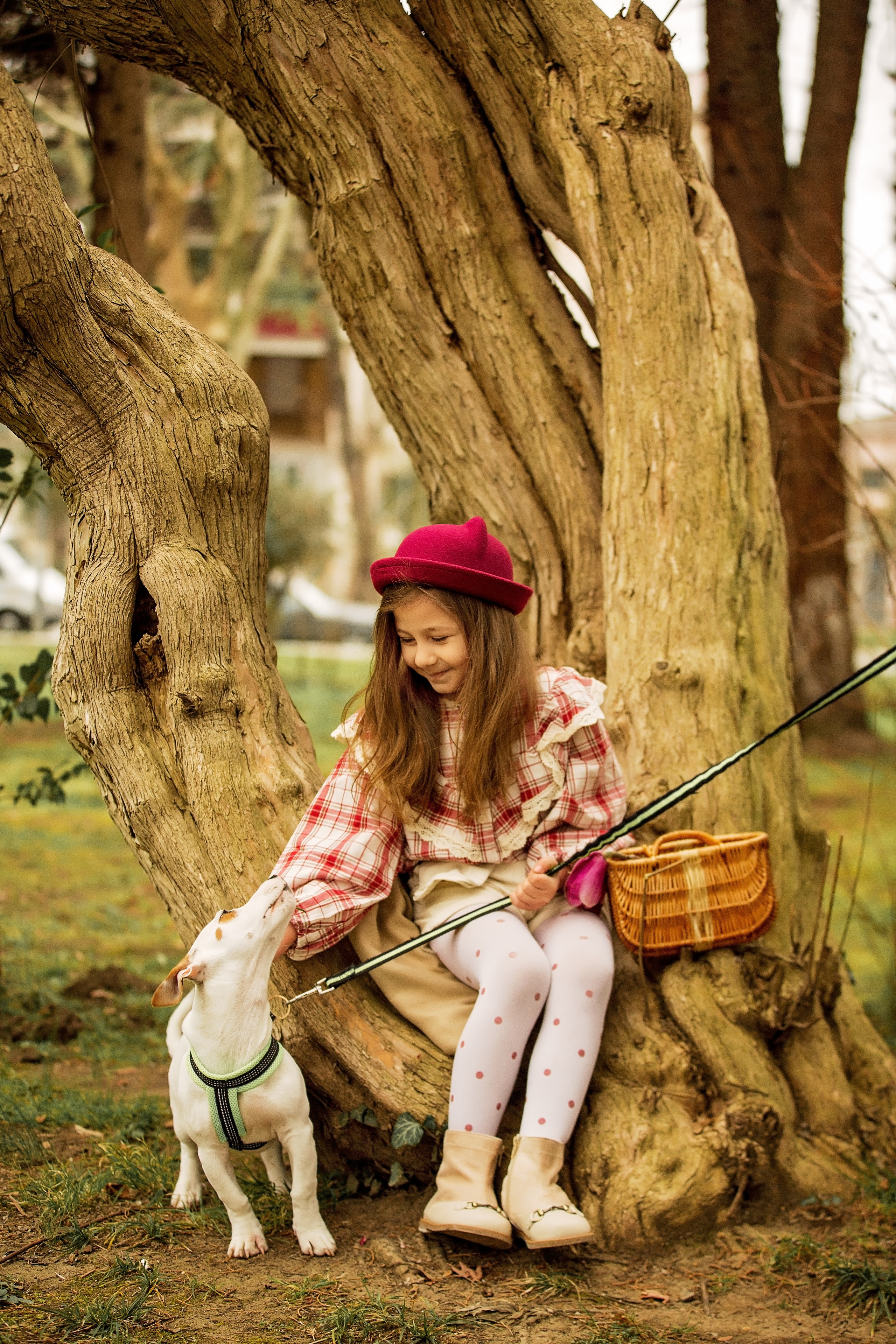 Элинка в магнолиях. Свадебный и семейный фотограф в Абхазии Эля Цишба