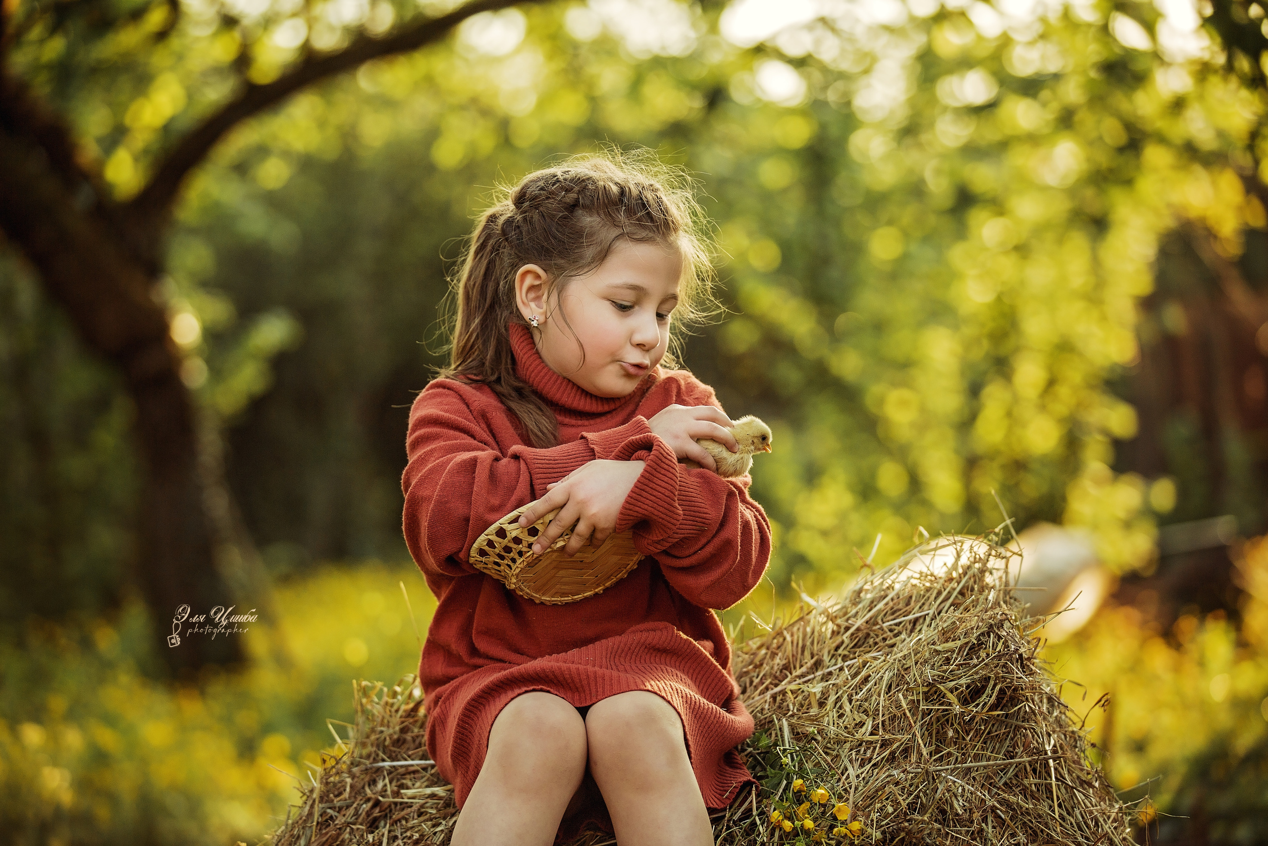 История нескольких цыплят. Свадебный и семейный фотограф в Абхазии Эля Цишба