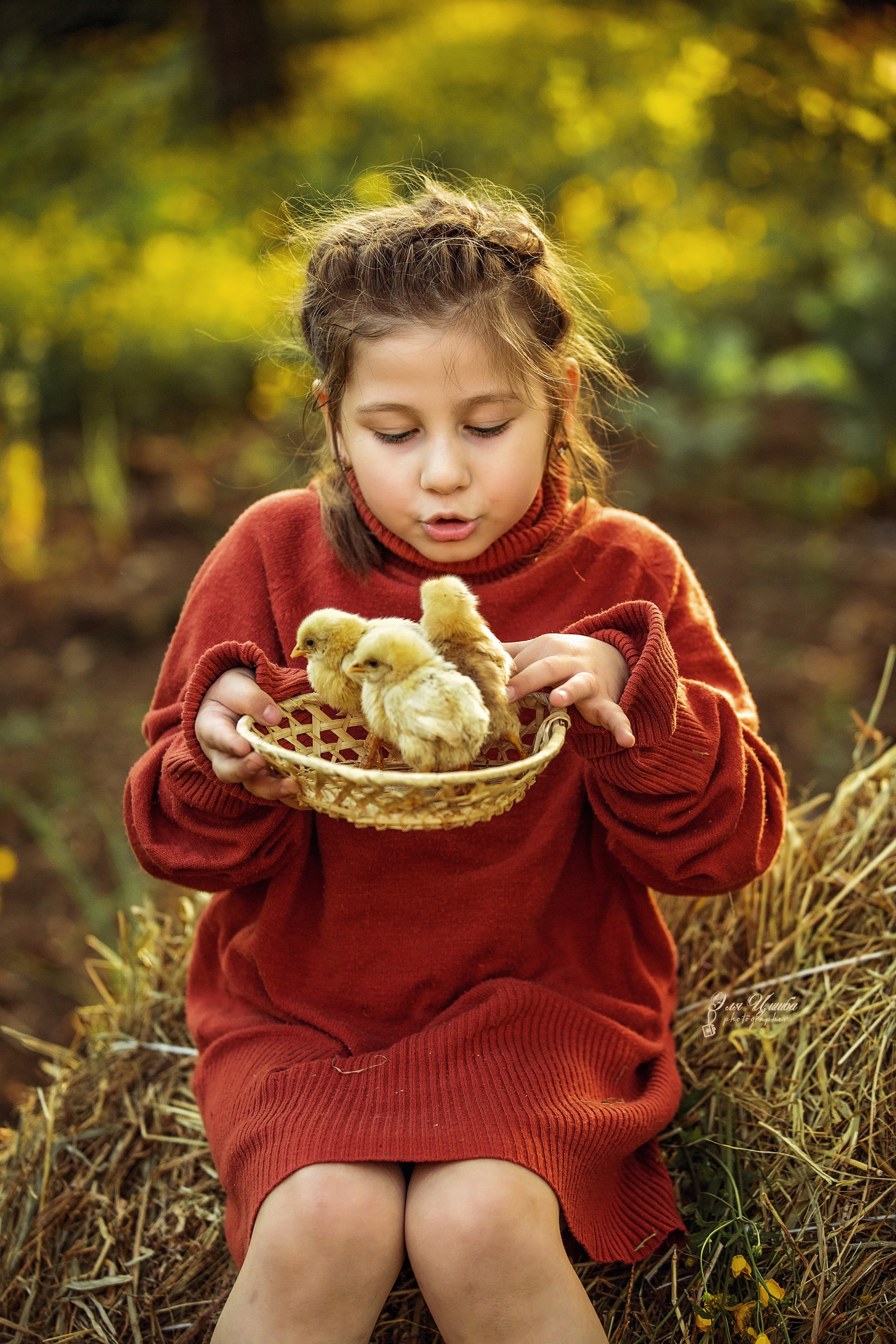 История нескольких цыплят. Свадебный и семейный фотограф в Абхазии Эля Цишба
