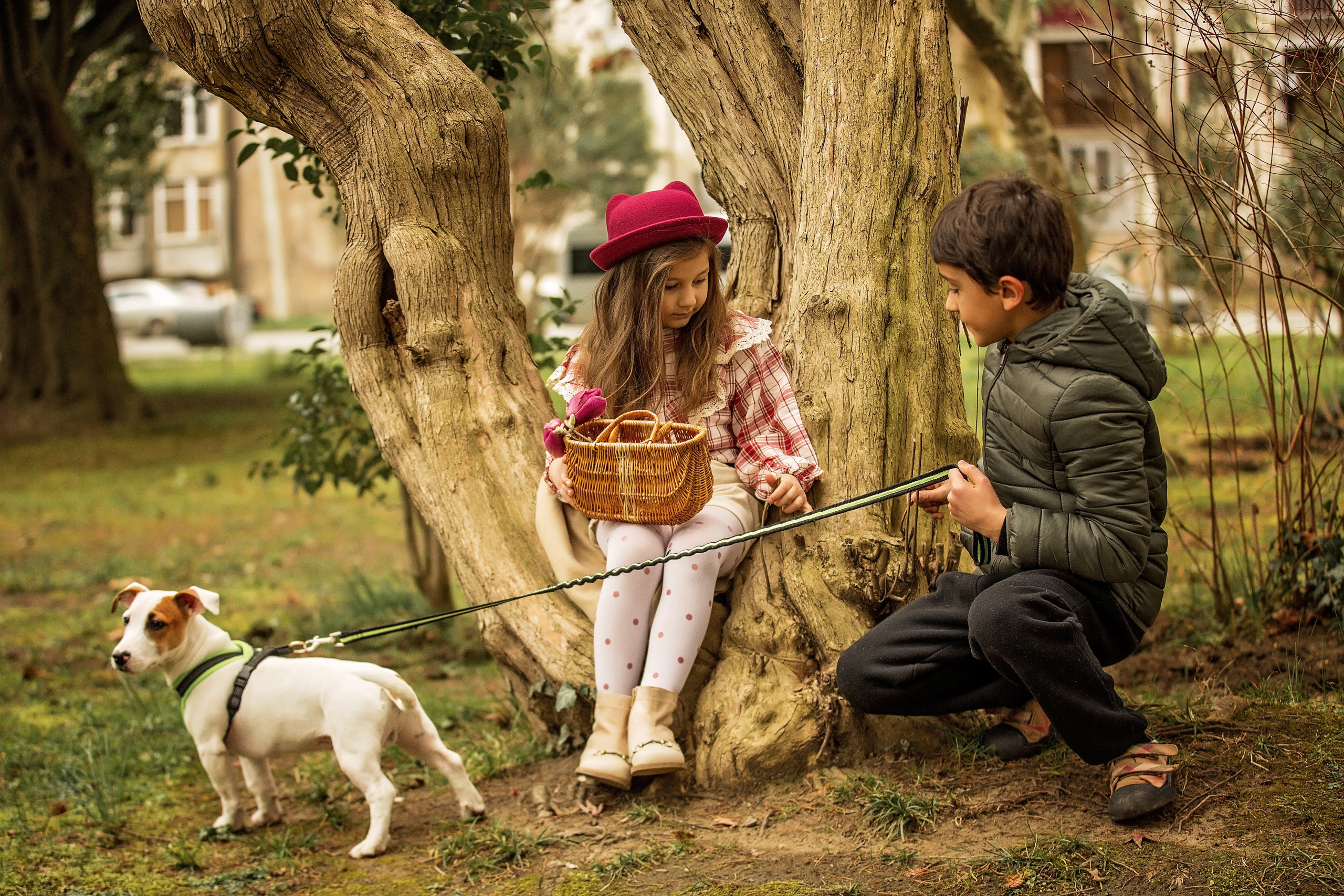 Элинка в магнолиях. Свадебный и семейный фотограф в Абхазии Эля Цишба