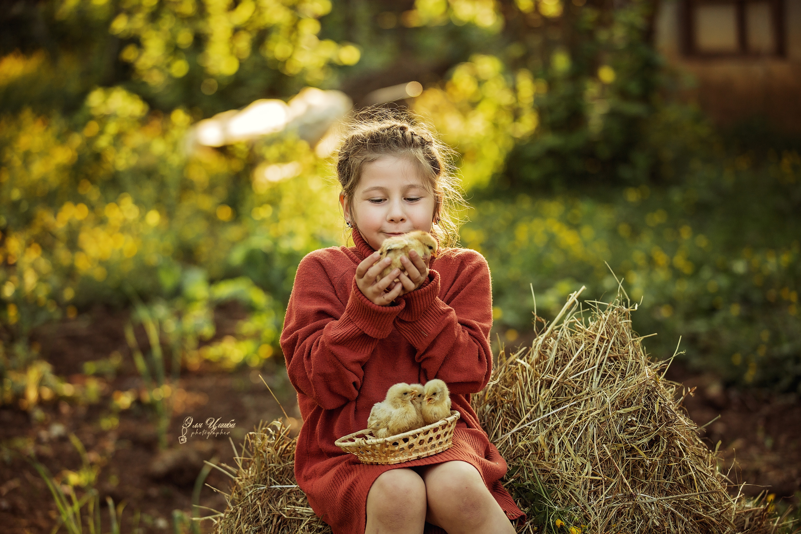 История нескольких цыплят. Свадебный и семейный фотограф в Абхазии Эля Цишба