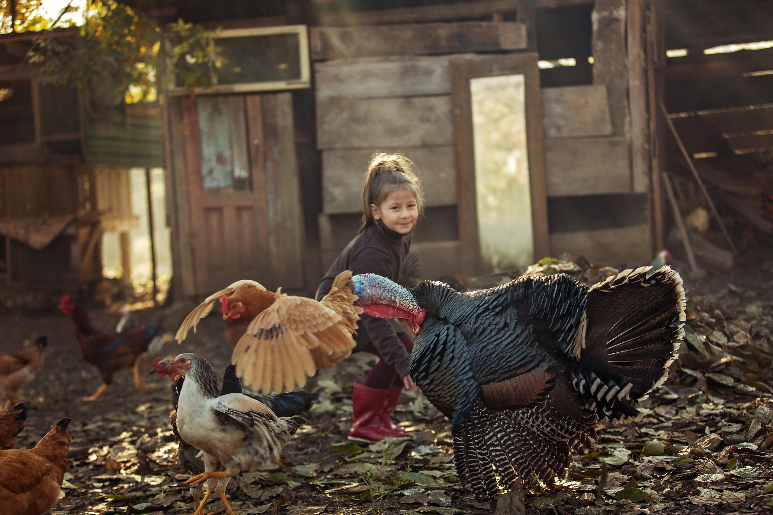 Свадебный и семейный фотограф в Абхазии Эля Цишба