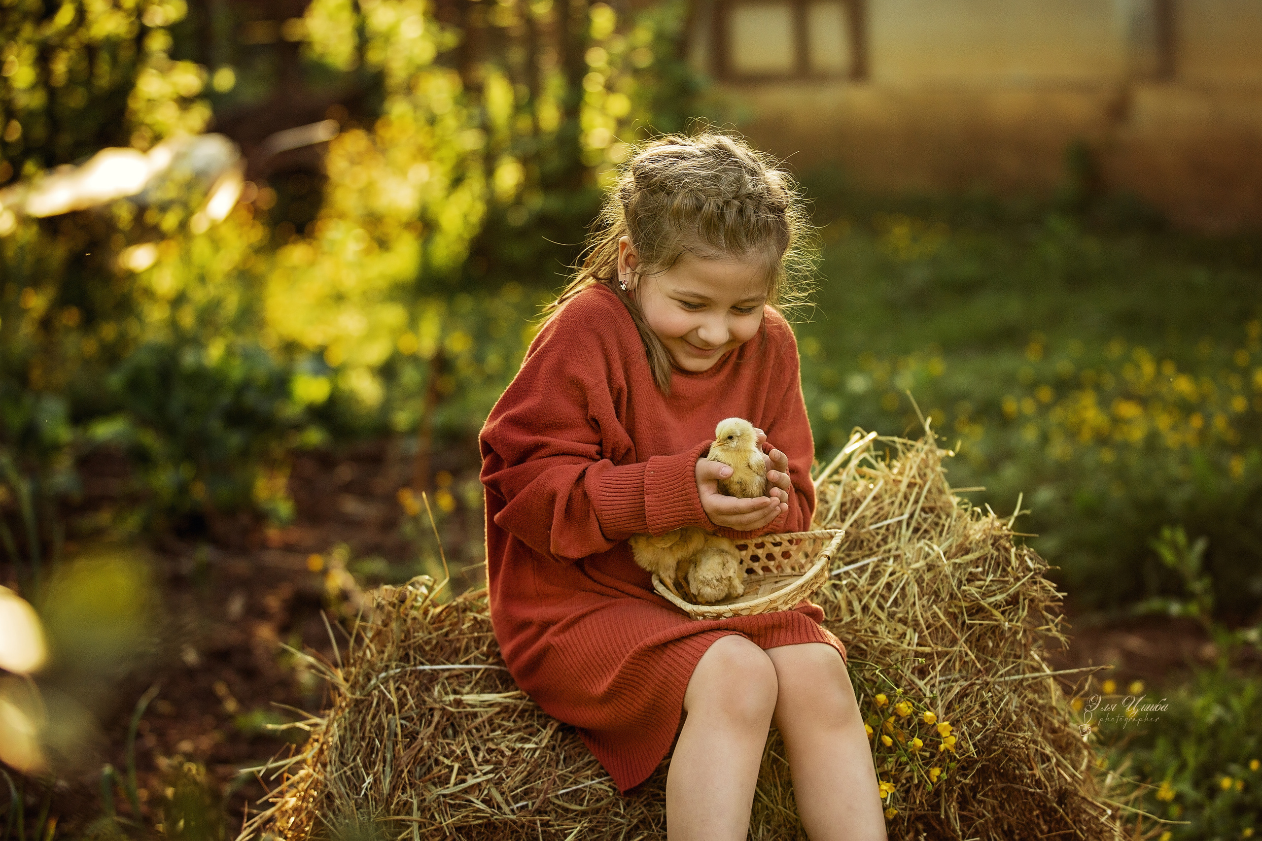 История нескольких цыплят. Свадебный и семейный фотограф в Абхазии Эля Цишба