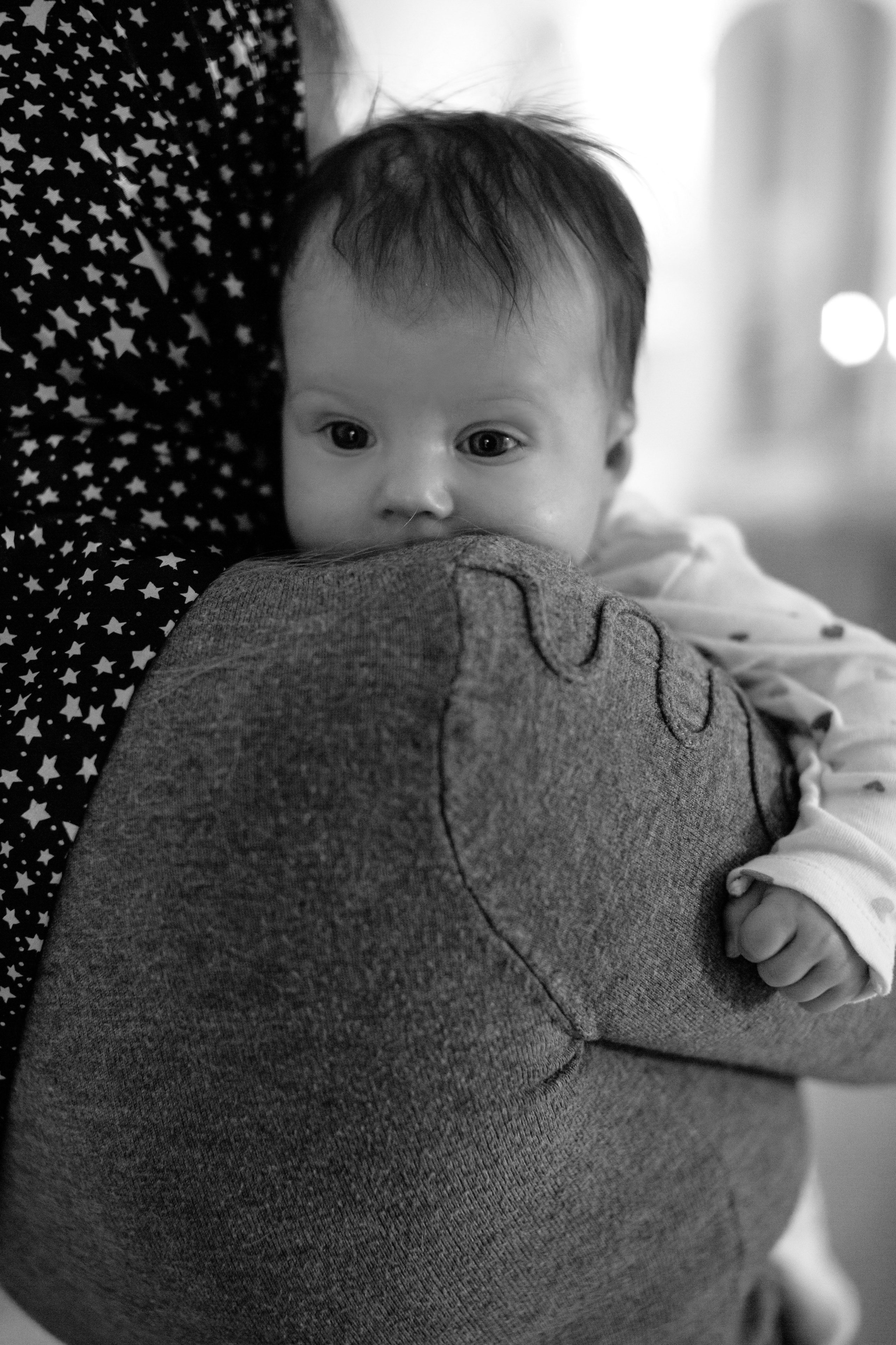 2/02/23. Фотограф НатаФото (Наталья Яковенко) Дмитров Москва Питер